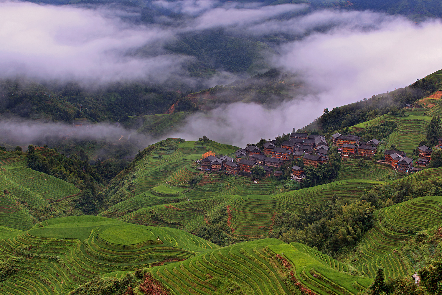 The Longsheng Rice Terraces China