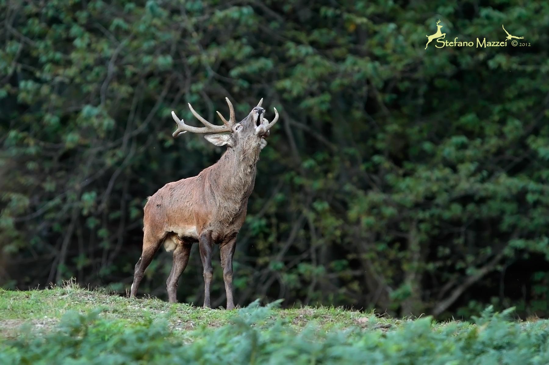 Potenza della natura ...
