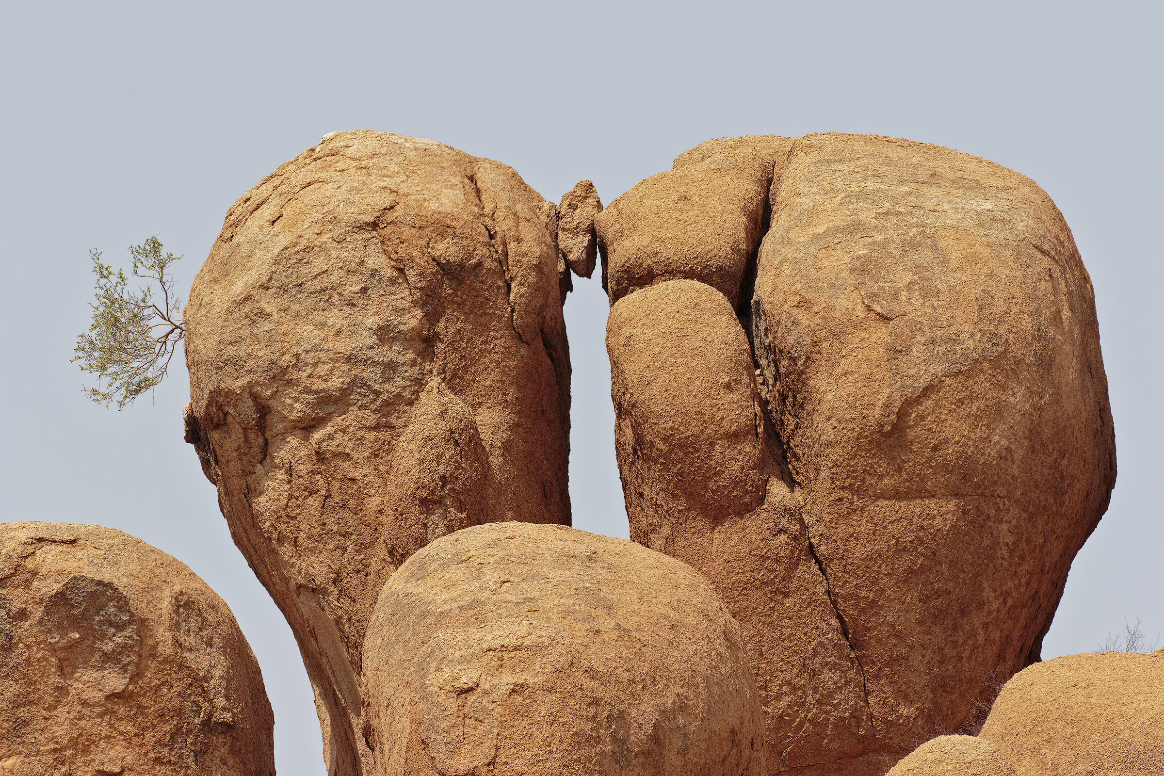 The strength of nature