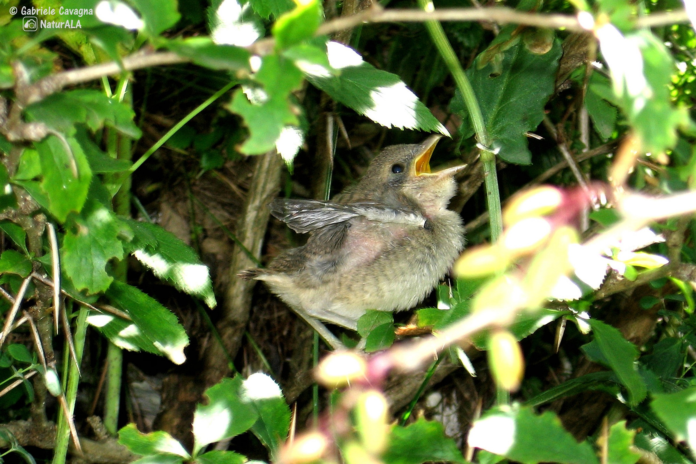 Mammaaaa ..... feel me !!