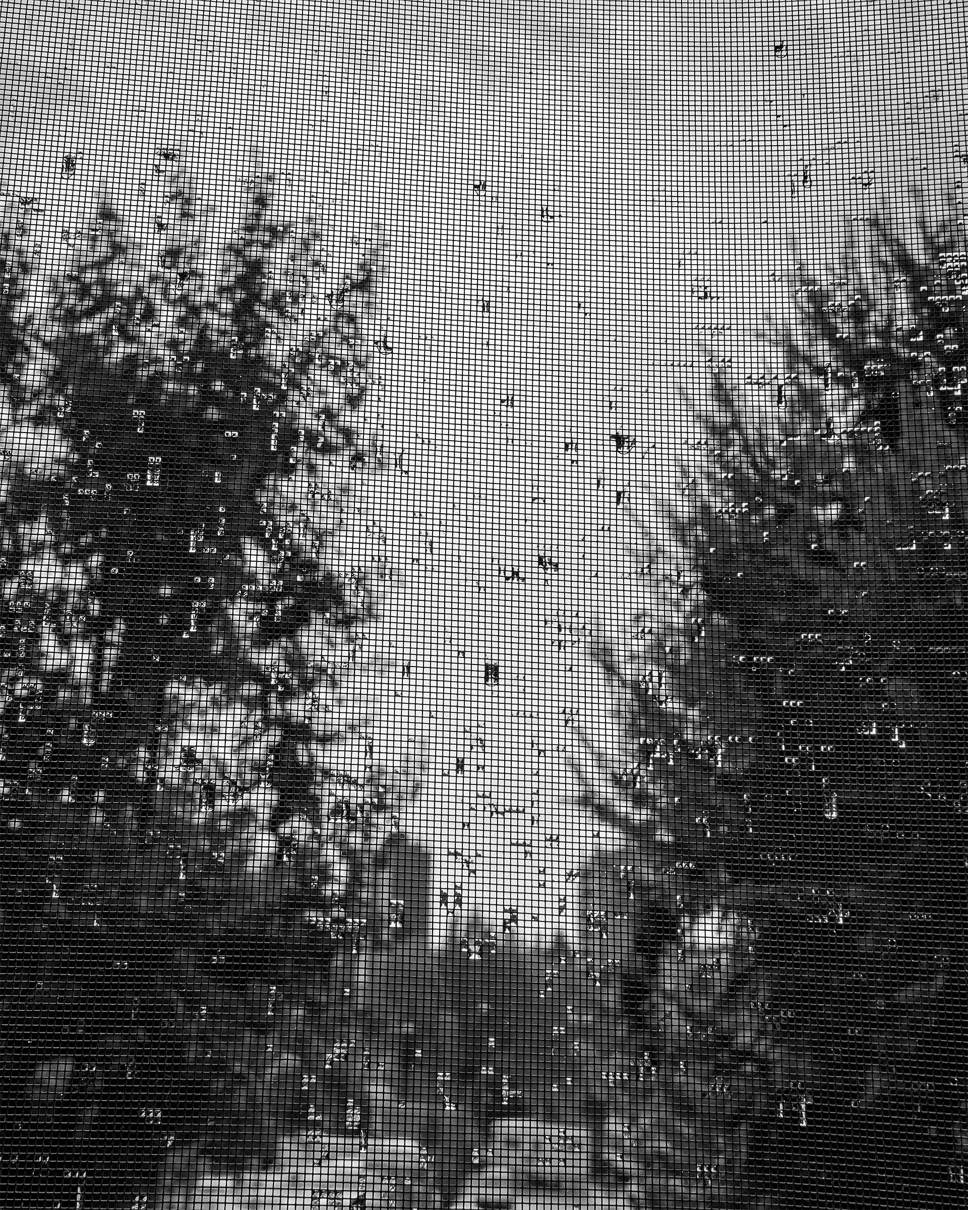 Mattinata imperlata di agosto