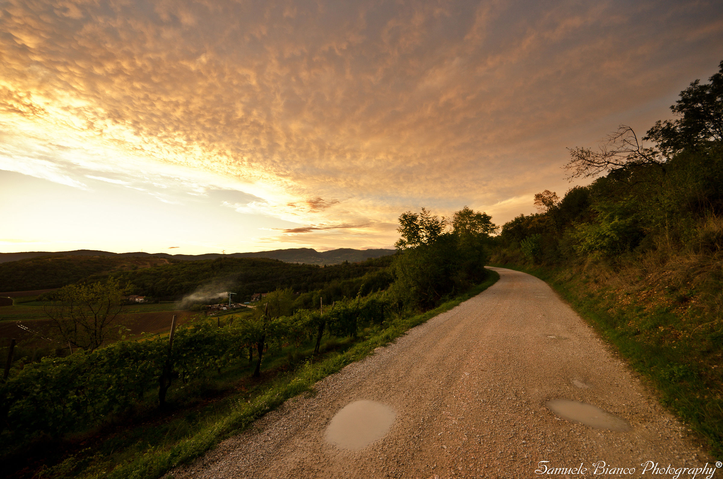 A magnificent sunset to Albettone