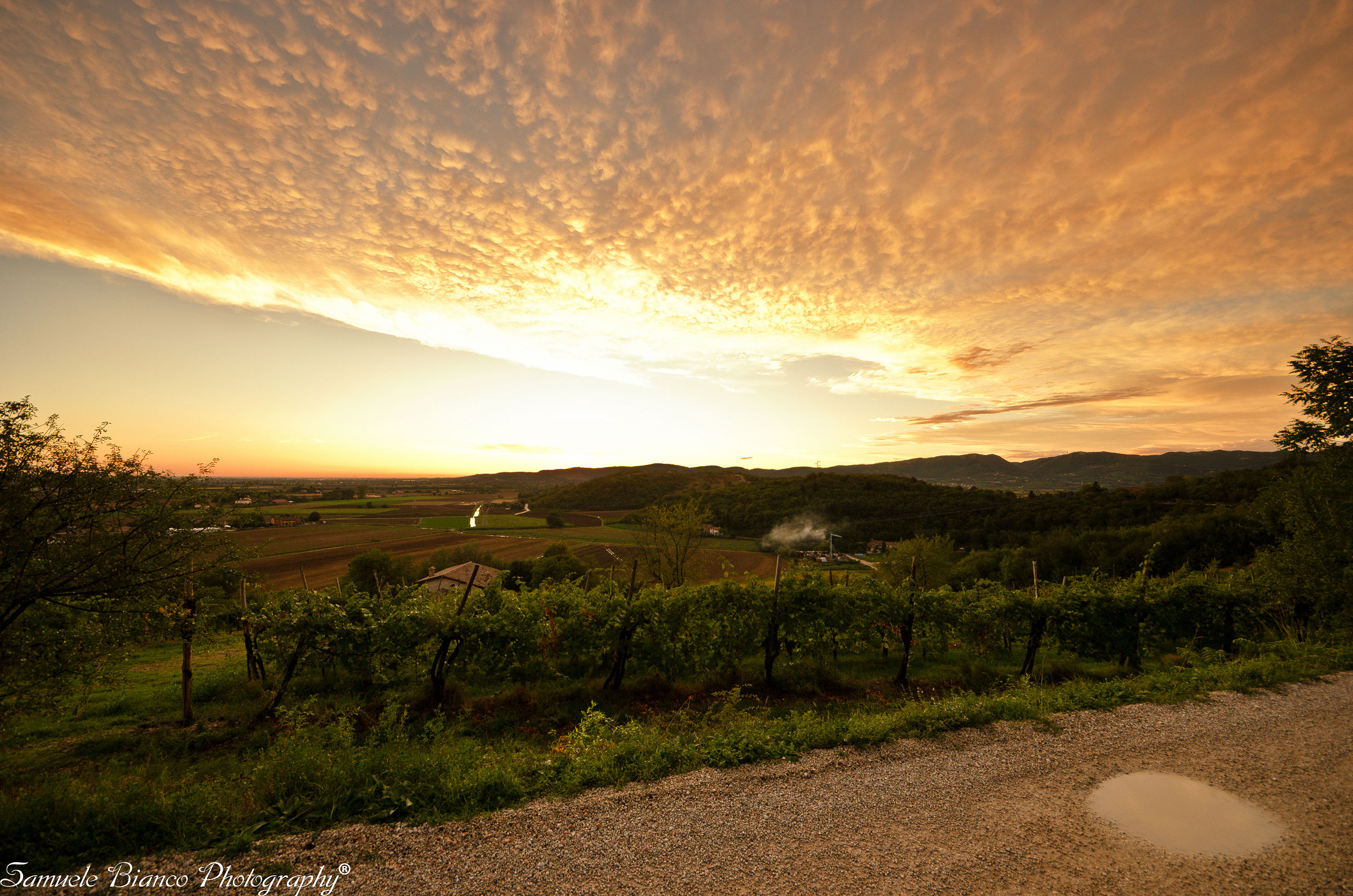 A magnificent sunset to Albettone 2