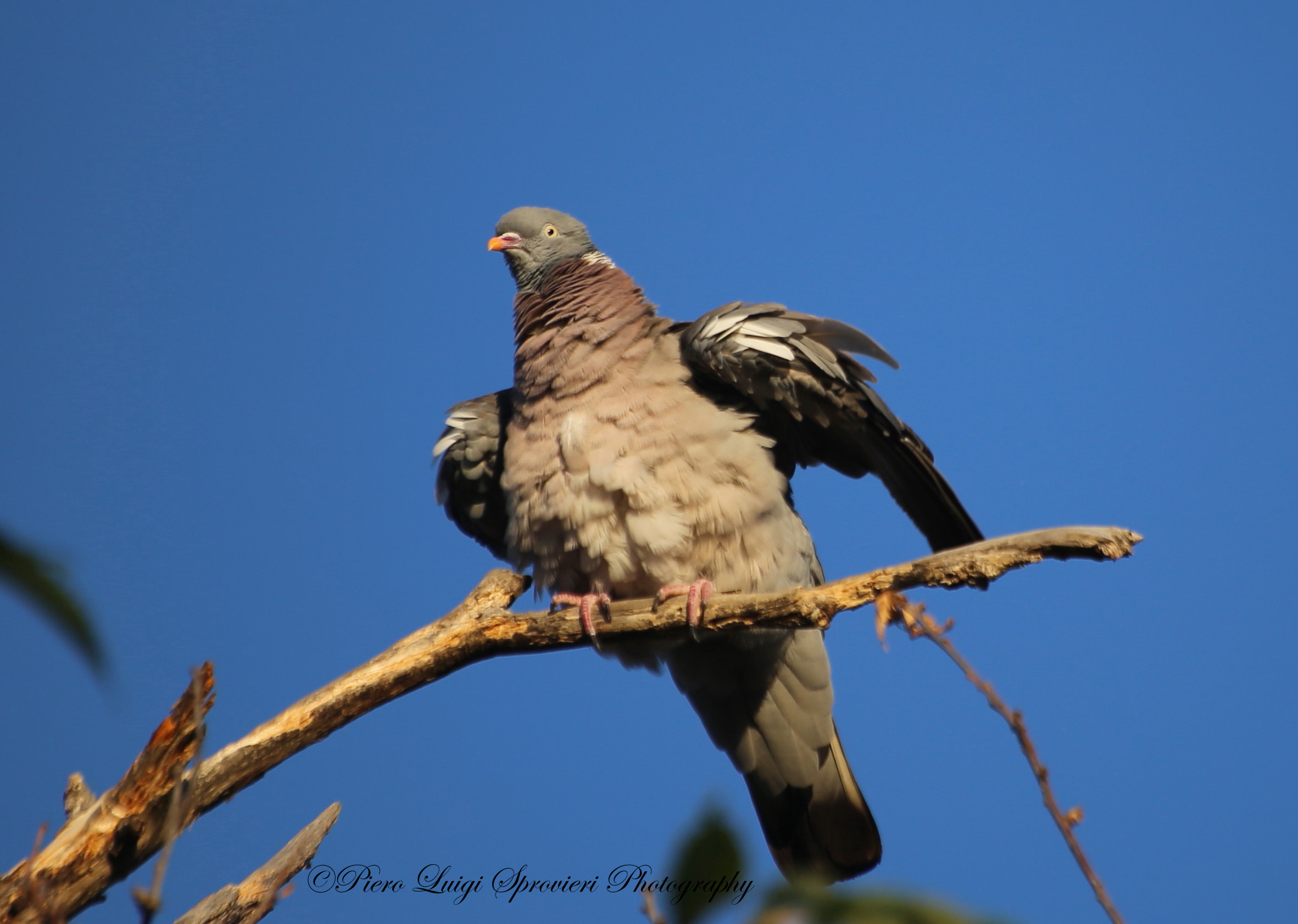 I go back to it again