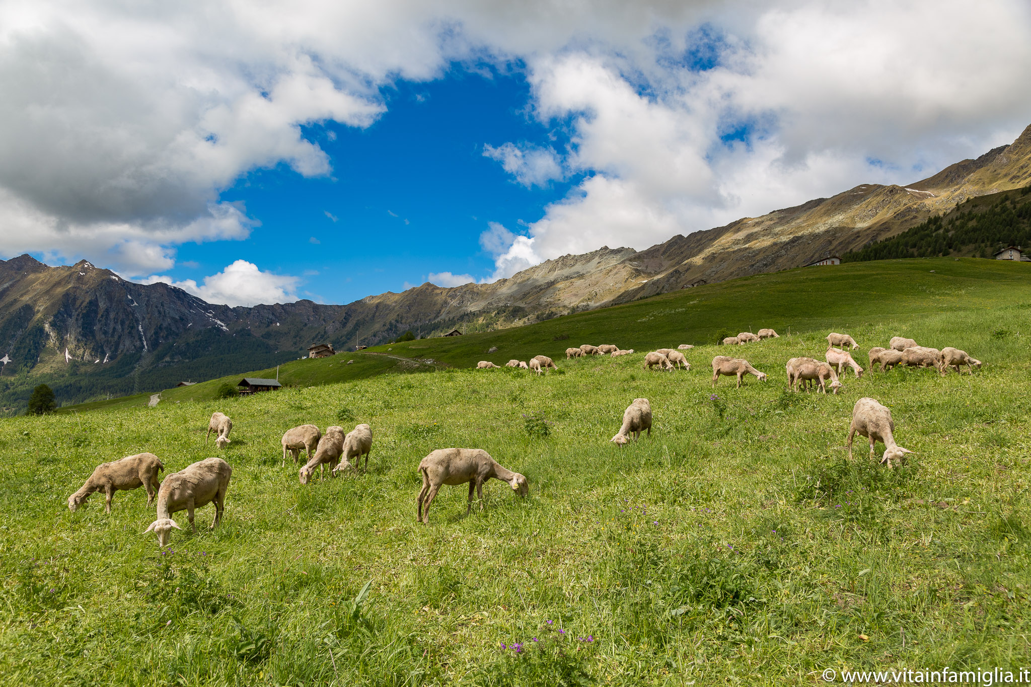 Val d' Ayas - Parco nazionale del Gran Paradiso