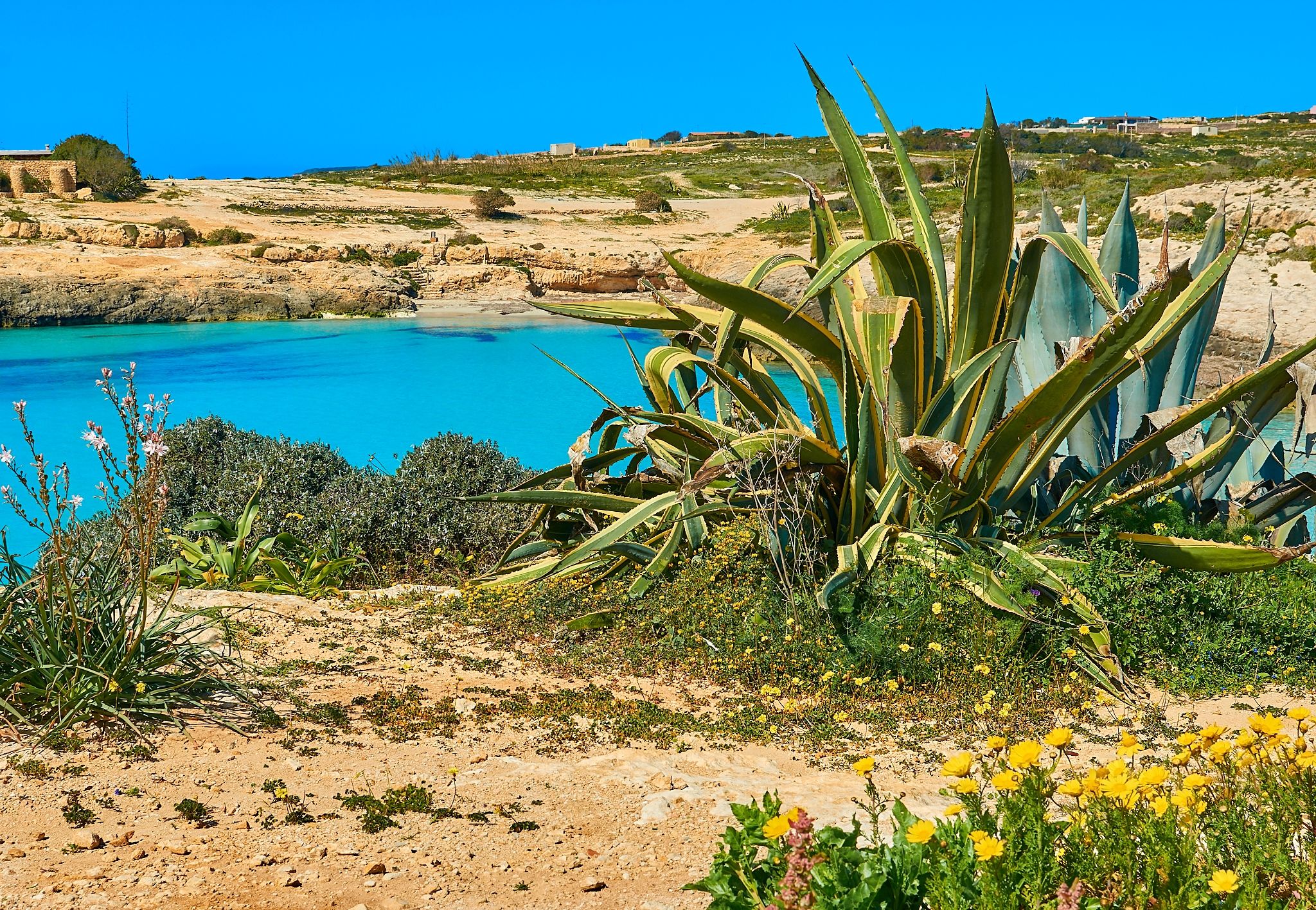 Cala Croce. Marzo 2017
