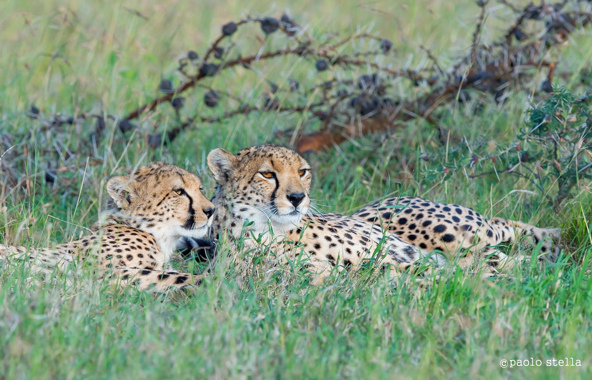 mamma ed io - close up