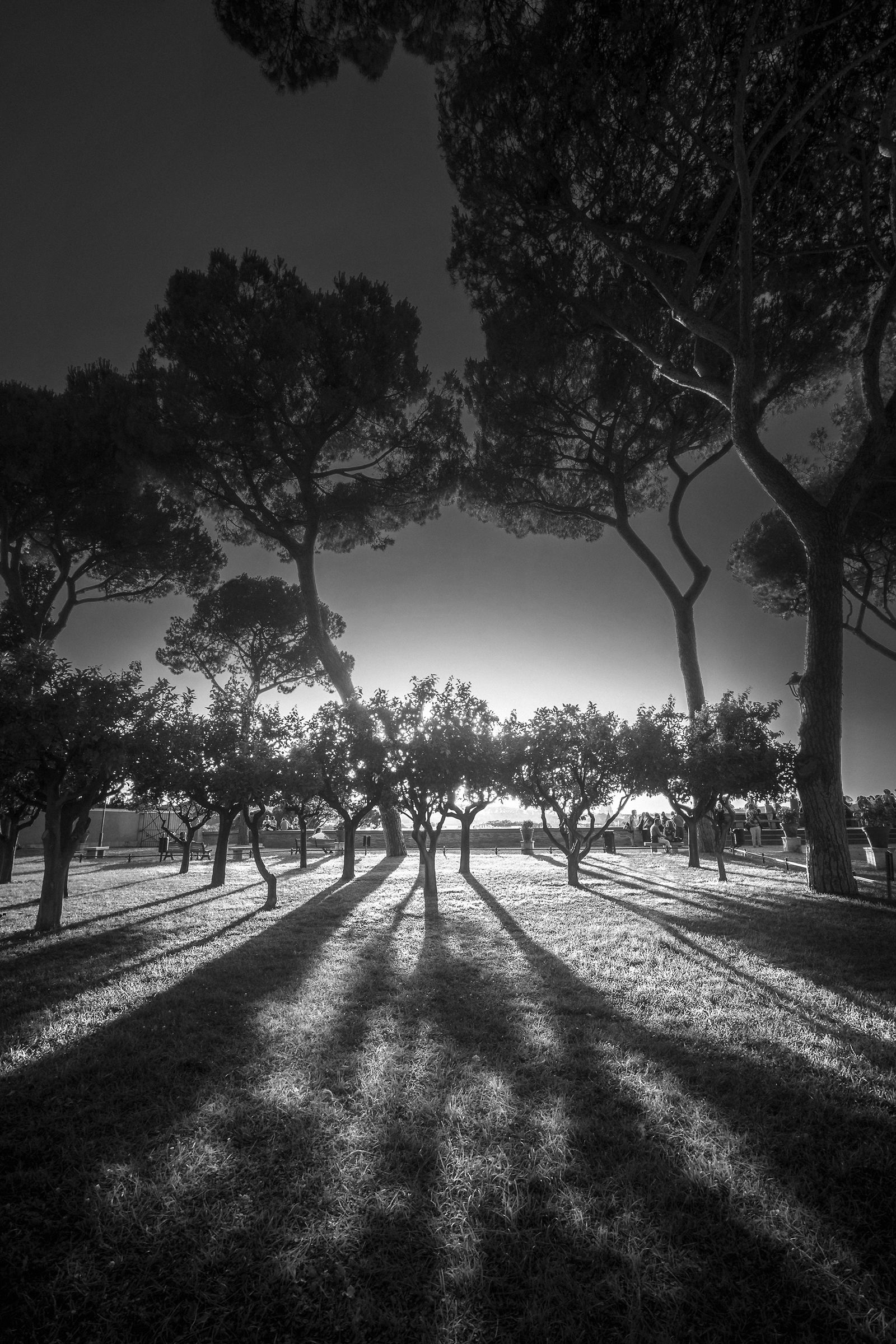Sunset at the Garden of the Oranges