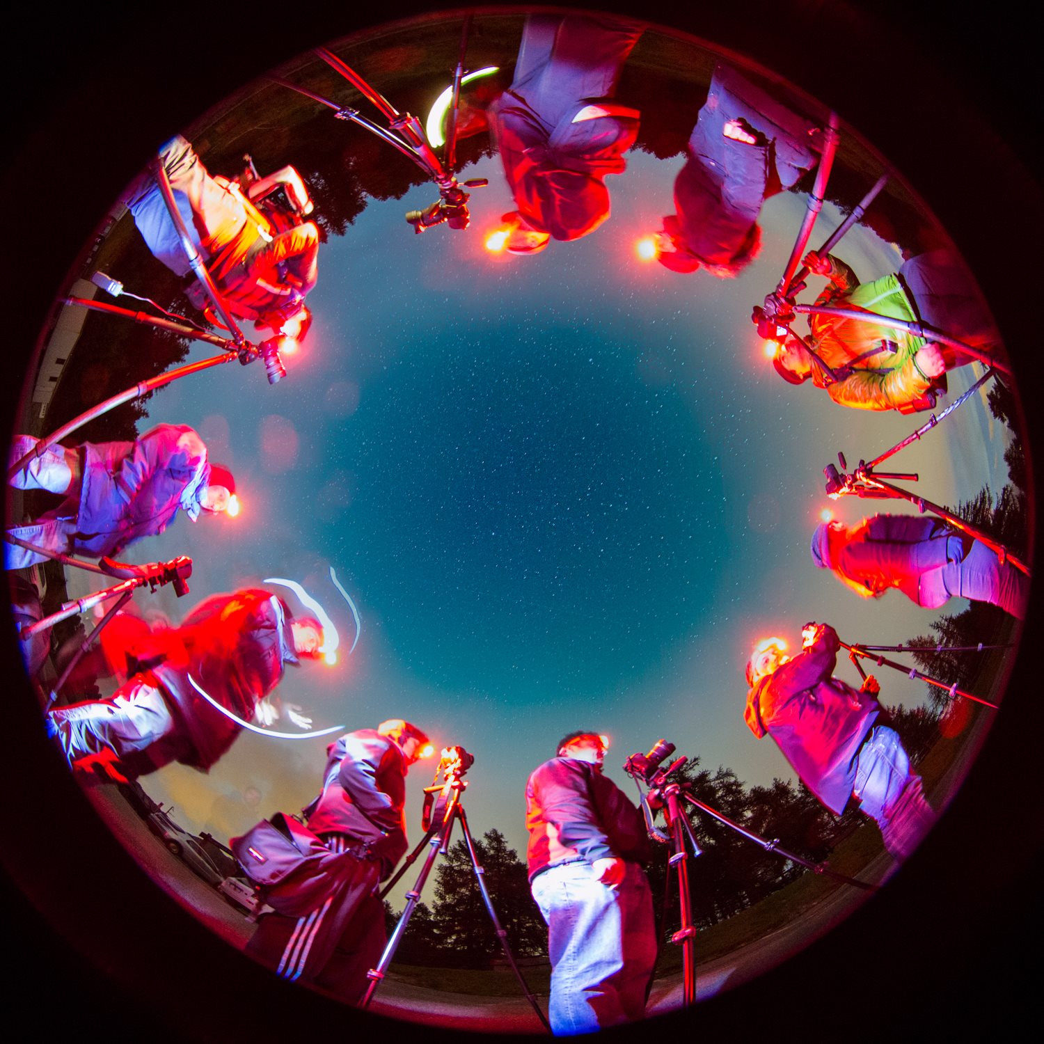 alla ricerca delle stelle