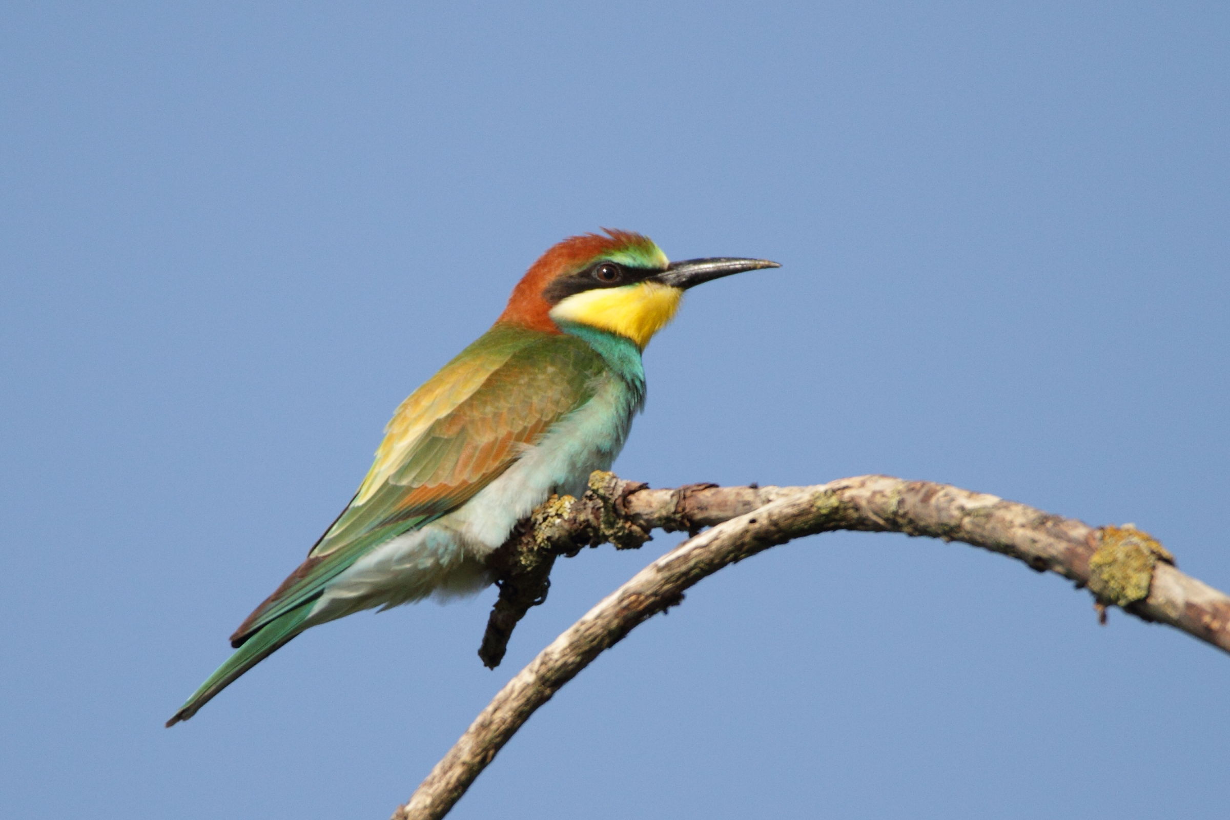 Gruggione to the Oasis of Bentivoglio