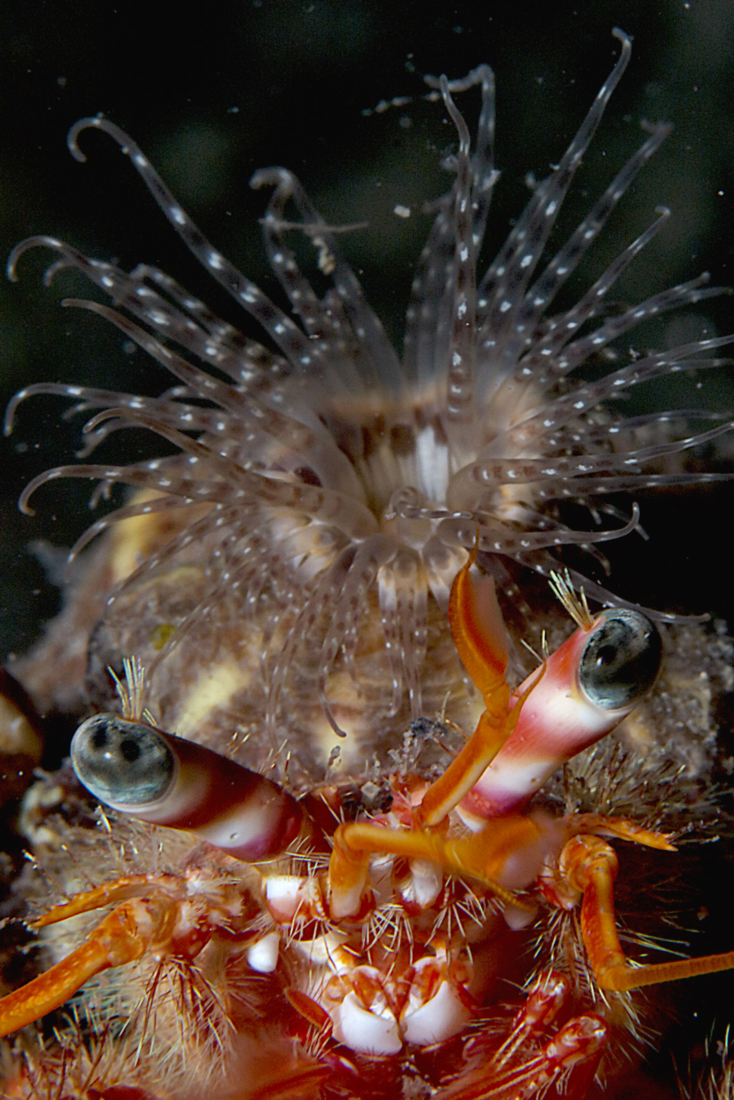 I'm back from the hairdresser