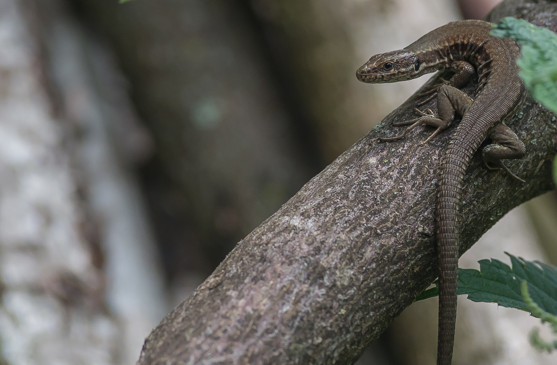 non neccessariamente posti diversi,ma occhi diversi si.