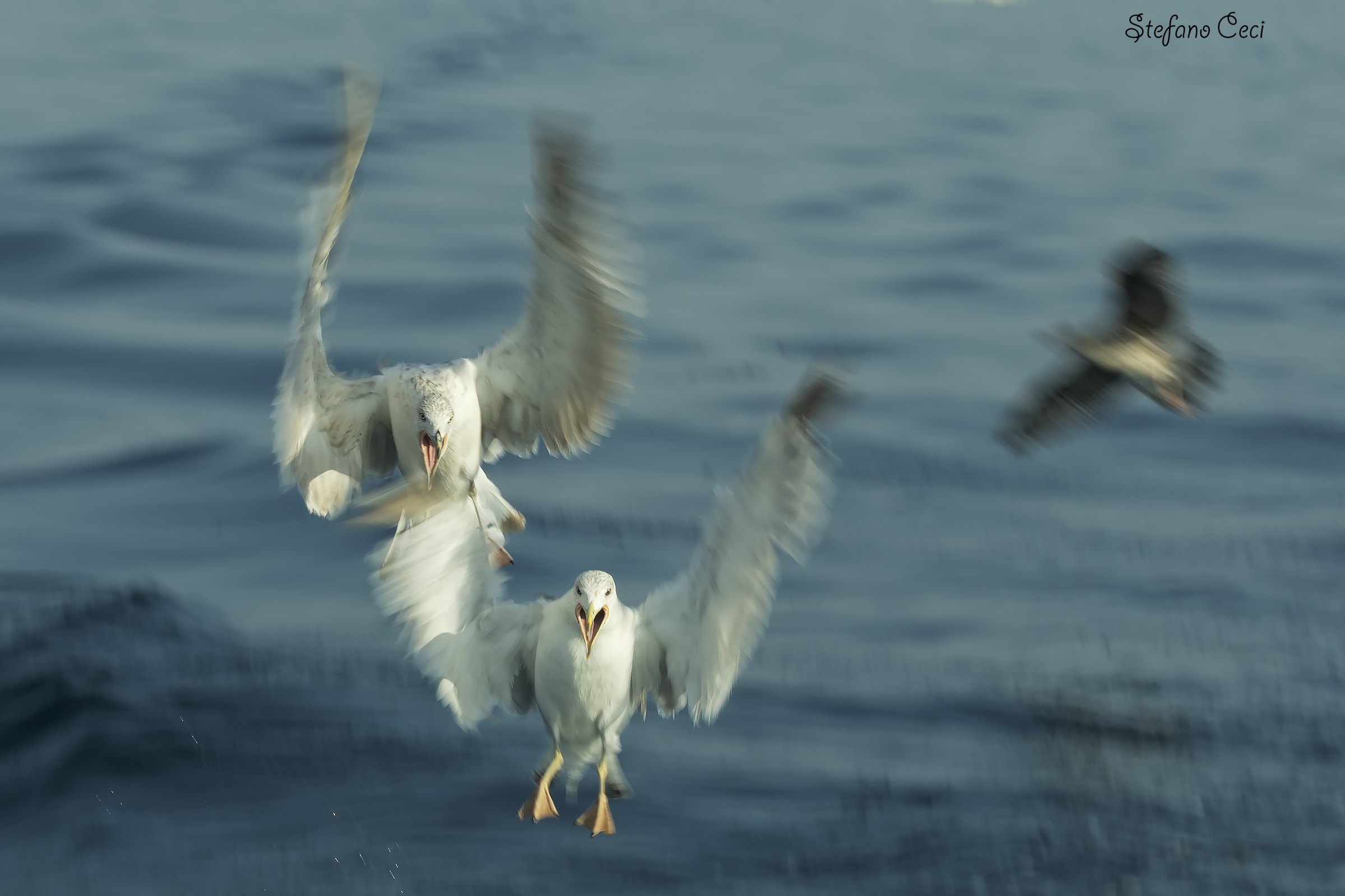 When it gets you angry