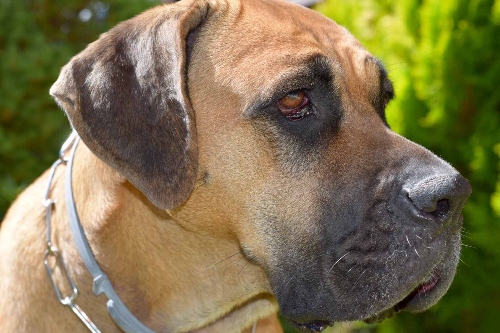 What I'm thinking about