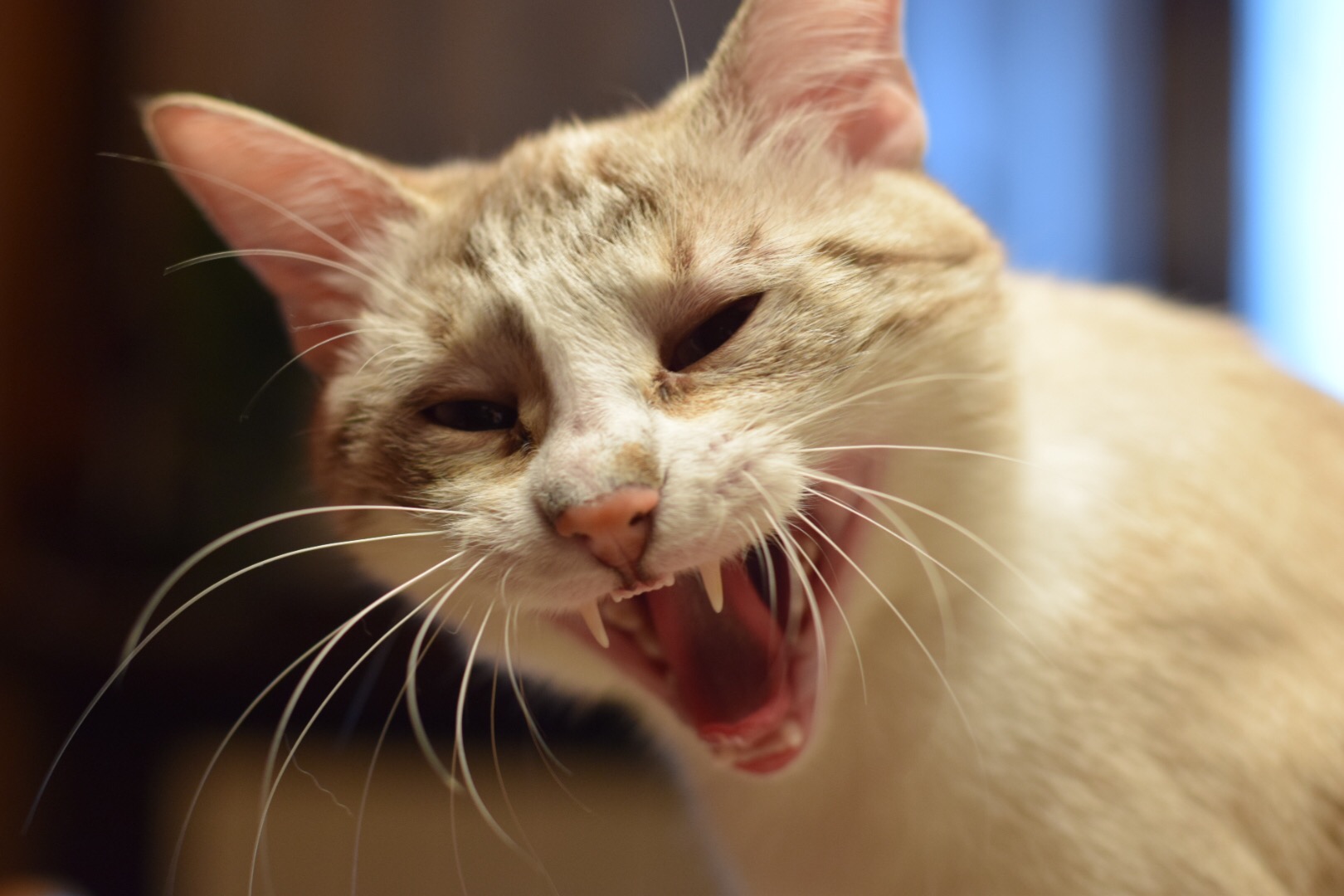 Do not make me angry !!!!