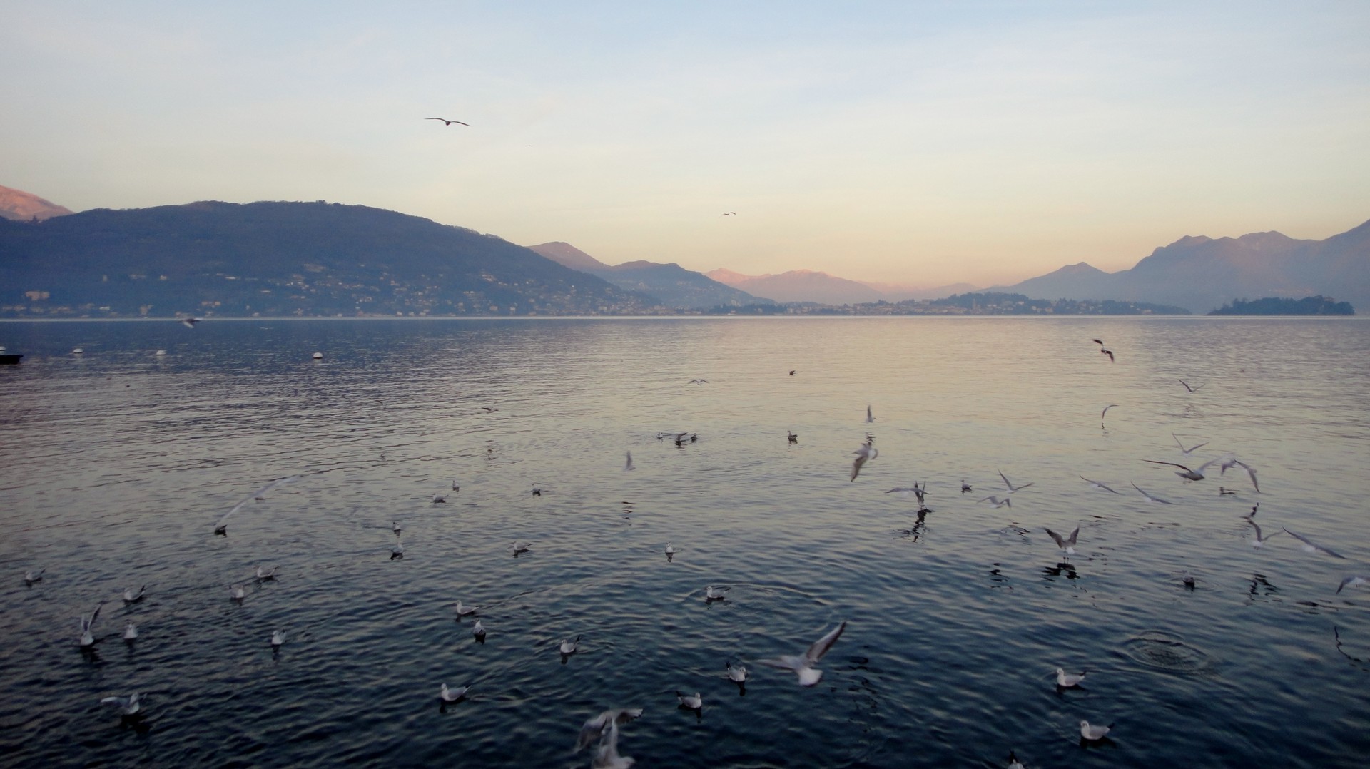 I find it somewhat chaotic at dusk