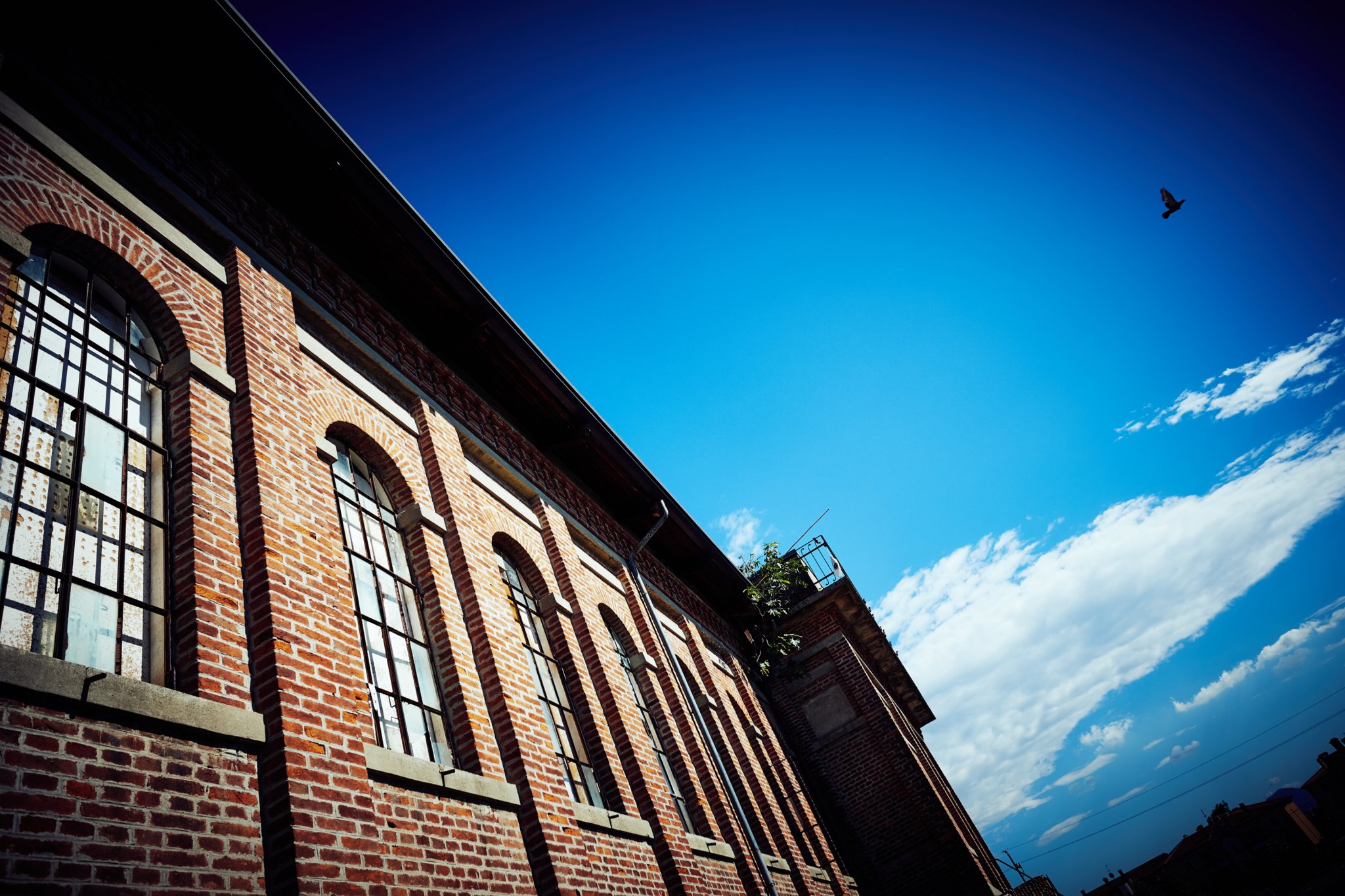 Do we know how many look at us?