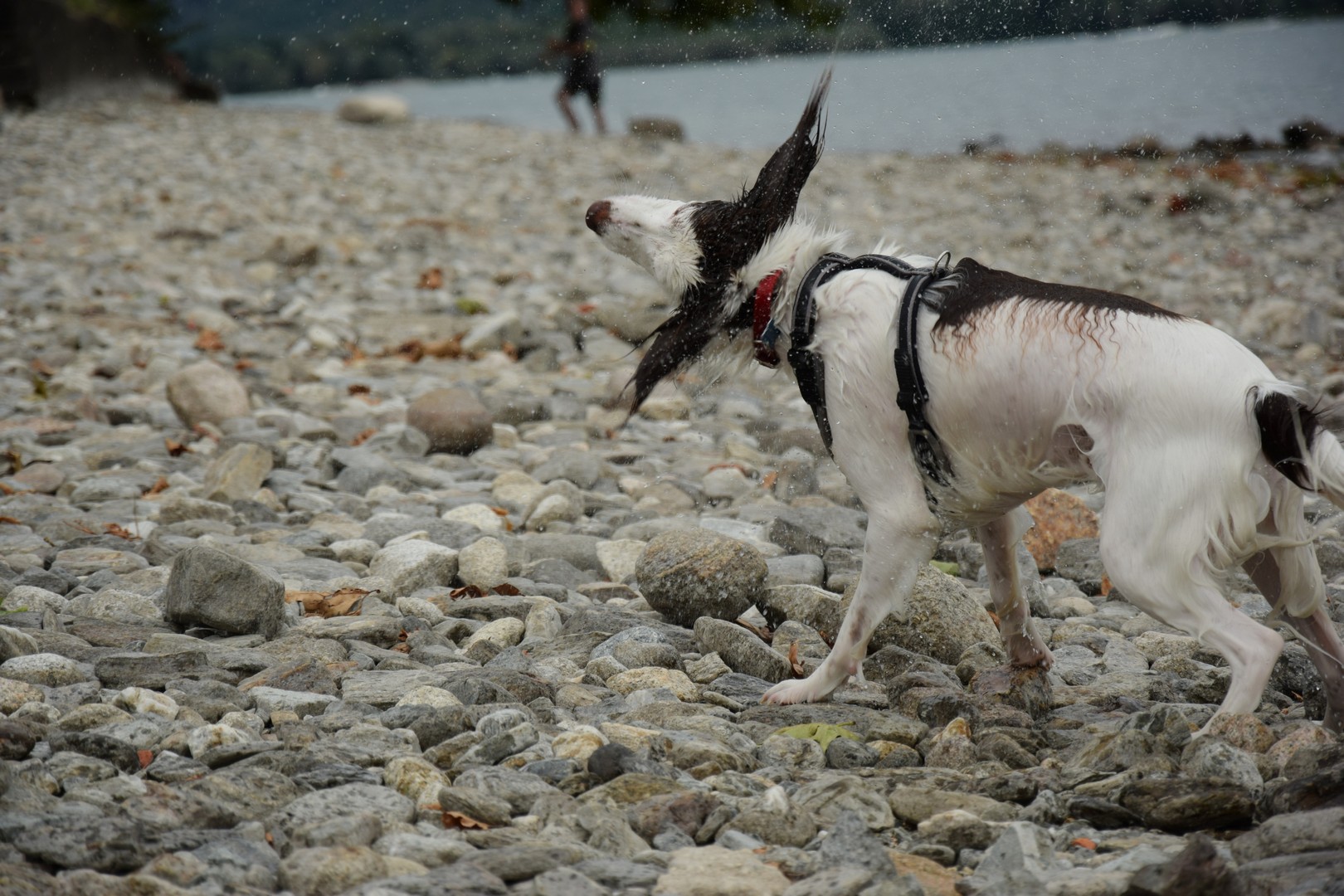 You move away from me!