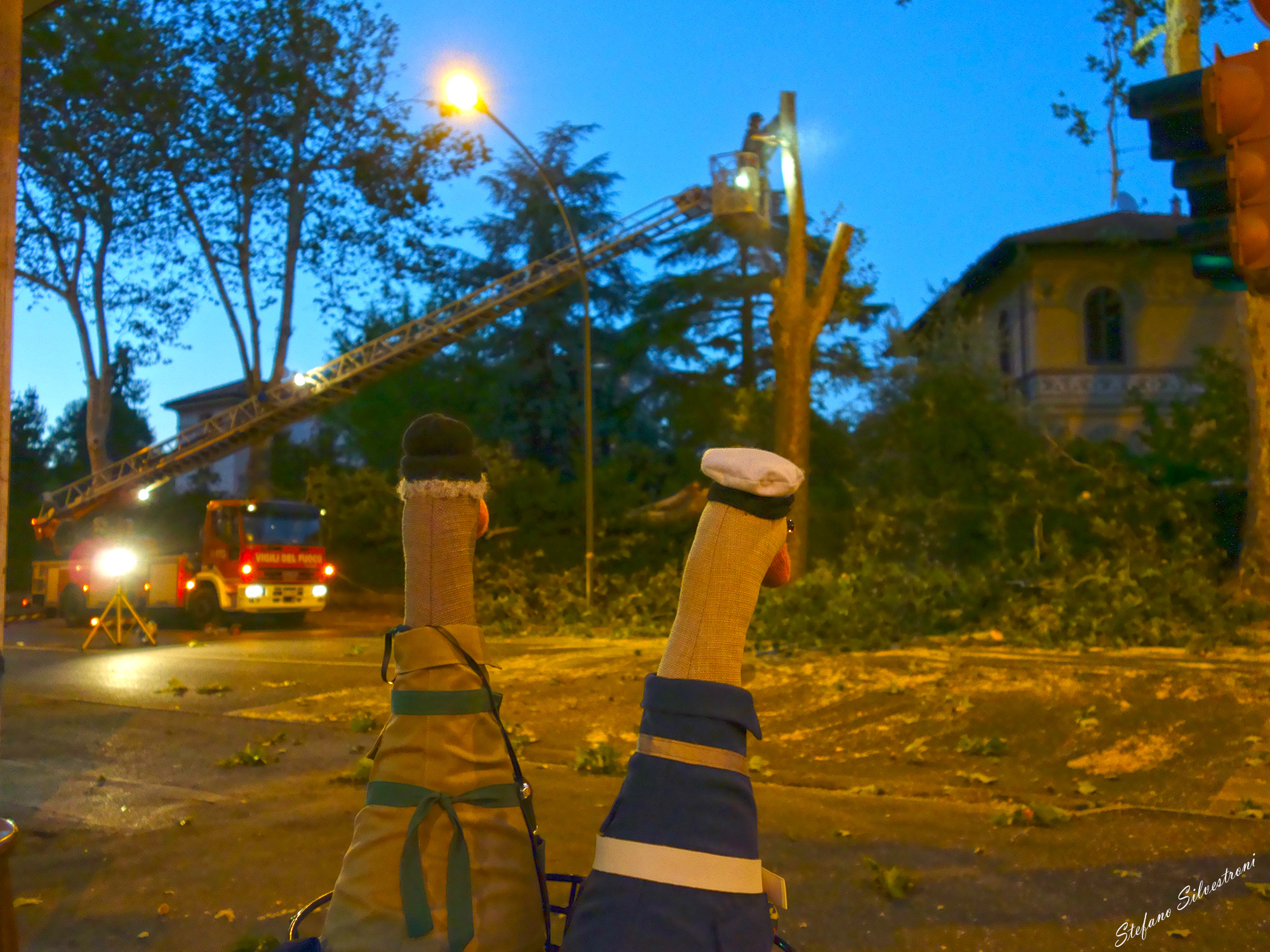 "Luckily they are ..."