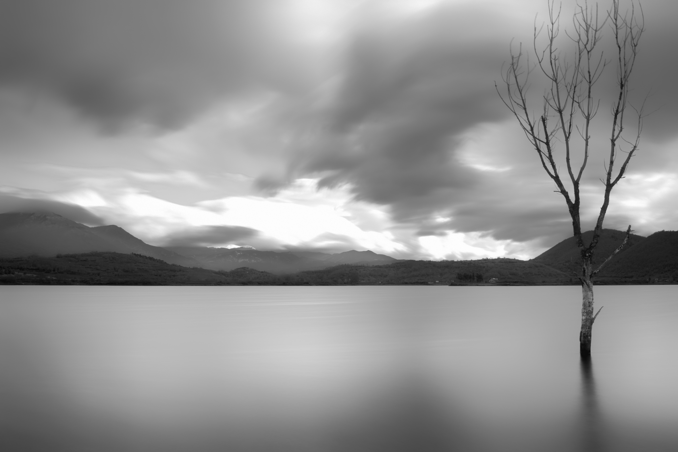 Lunga esposizione con albero morto