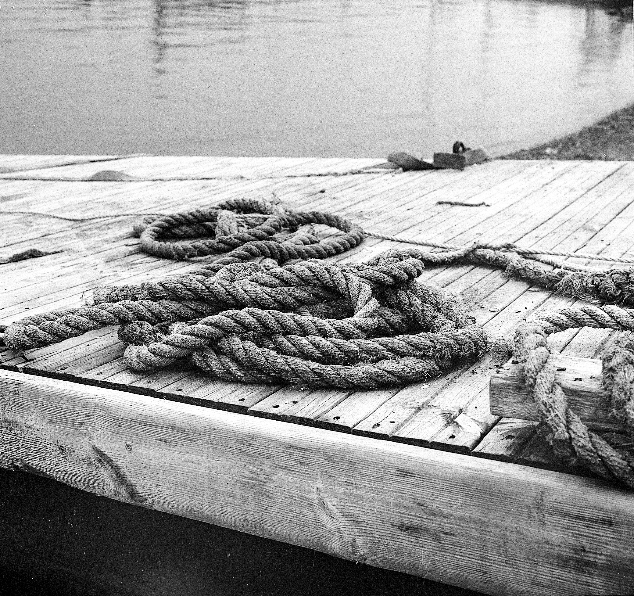 Strings, Hudiksvall, Sweden Rolleiflex 2.8e Xenotar