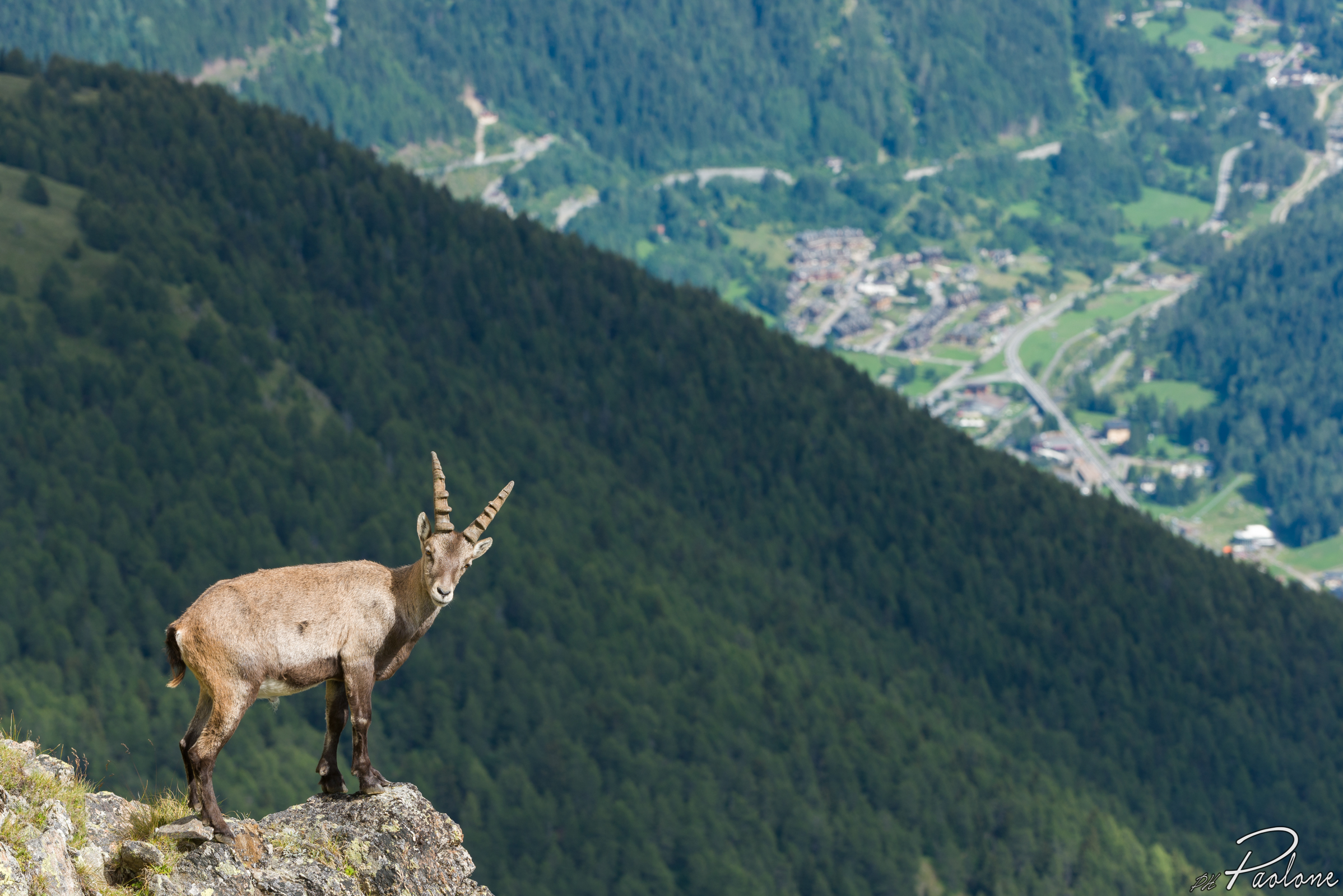 Icicle with wooden bridge in the background