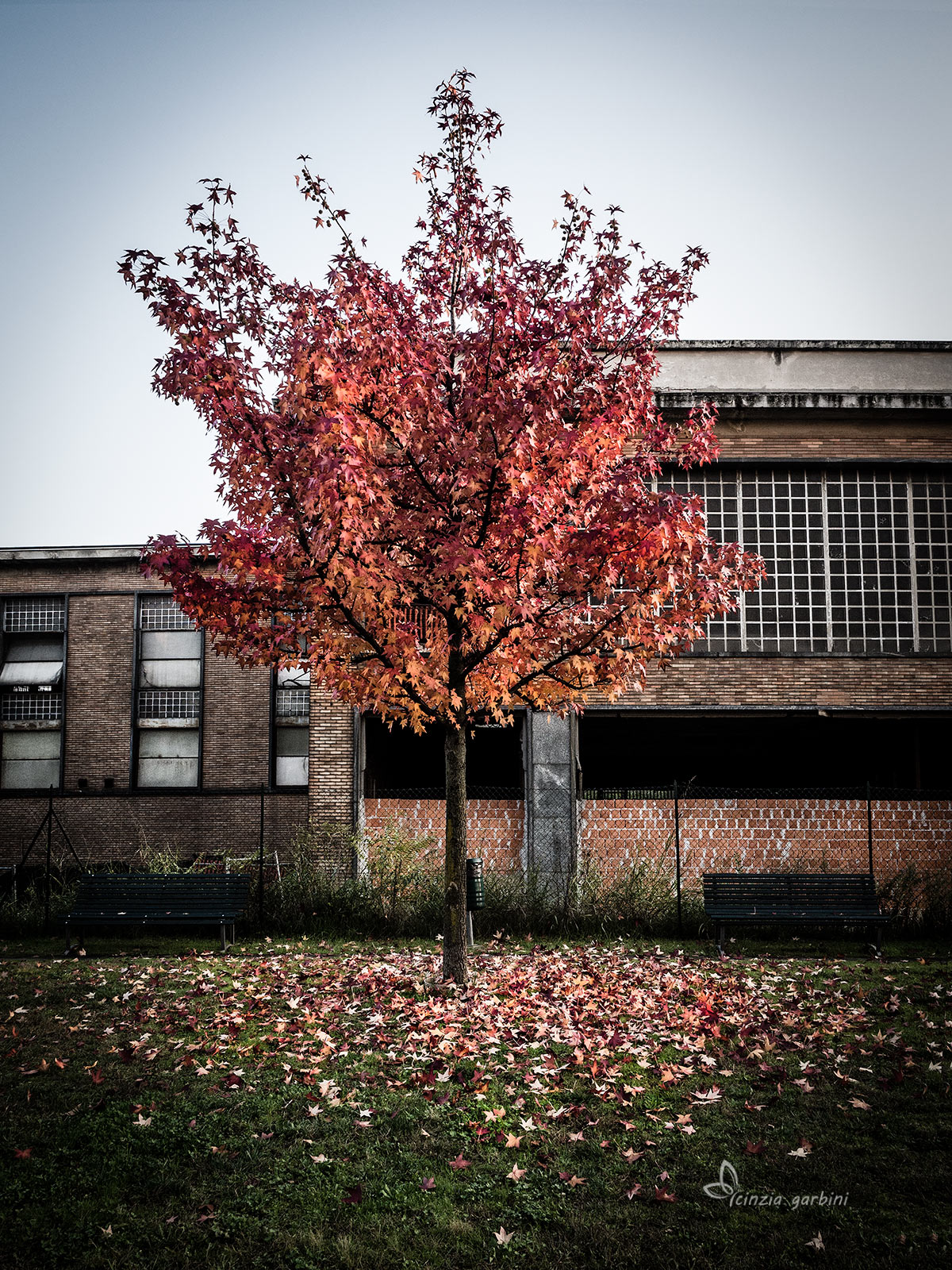 Autumn .. industrial