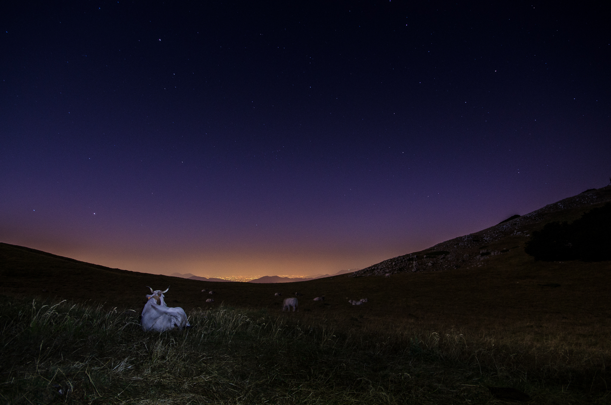 Night podolike landscape