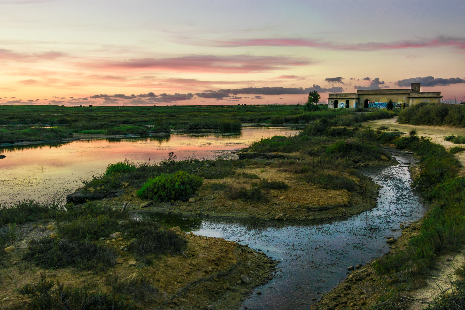 Abbracci nel deserto