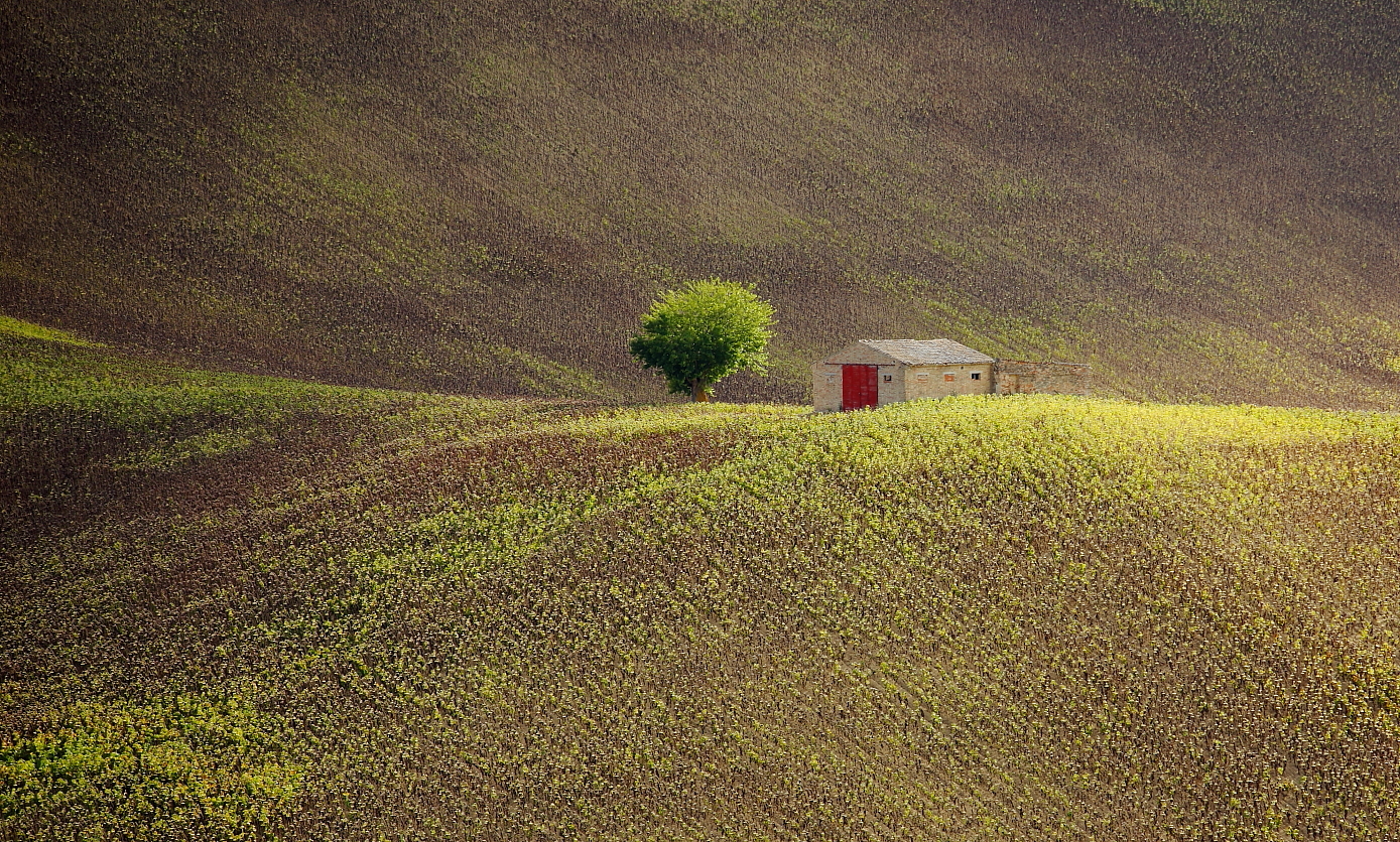 il raggio prima del temporale