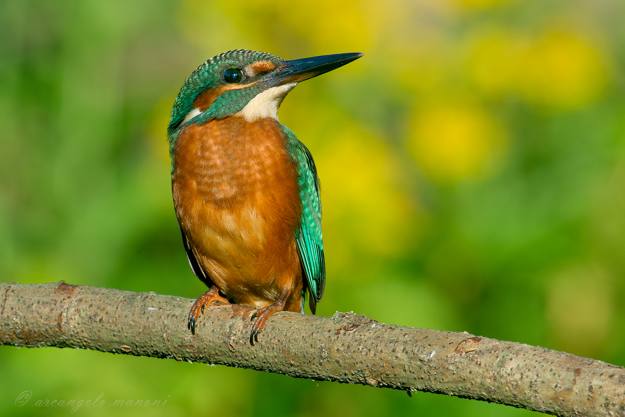 Martin bambino figlio di Maria