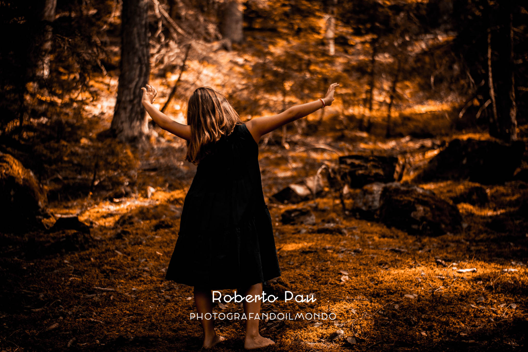 The princess of the forest