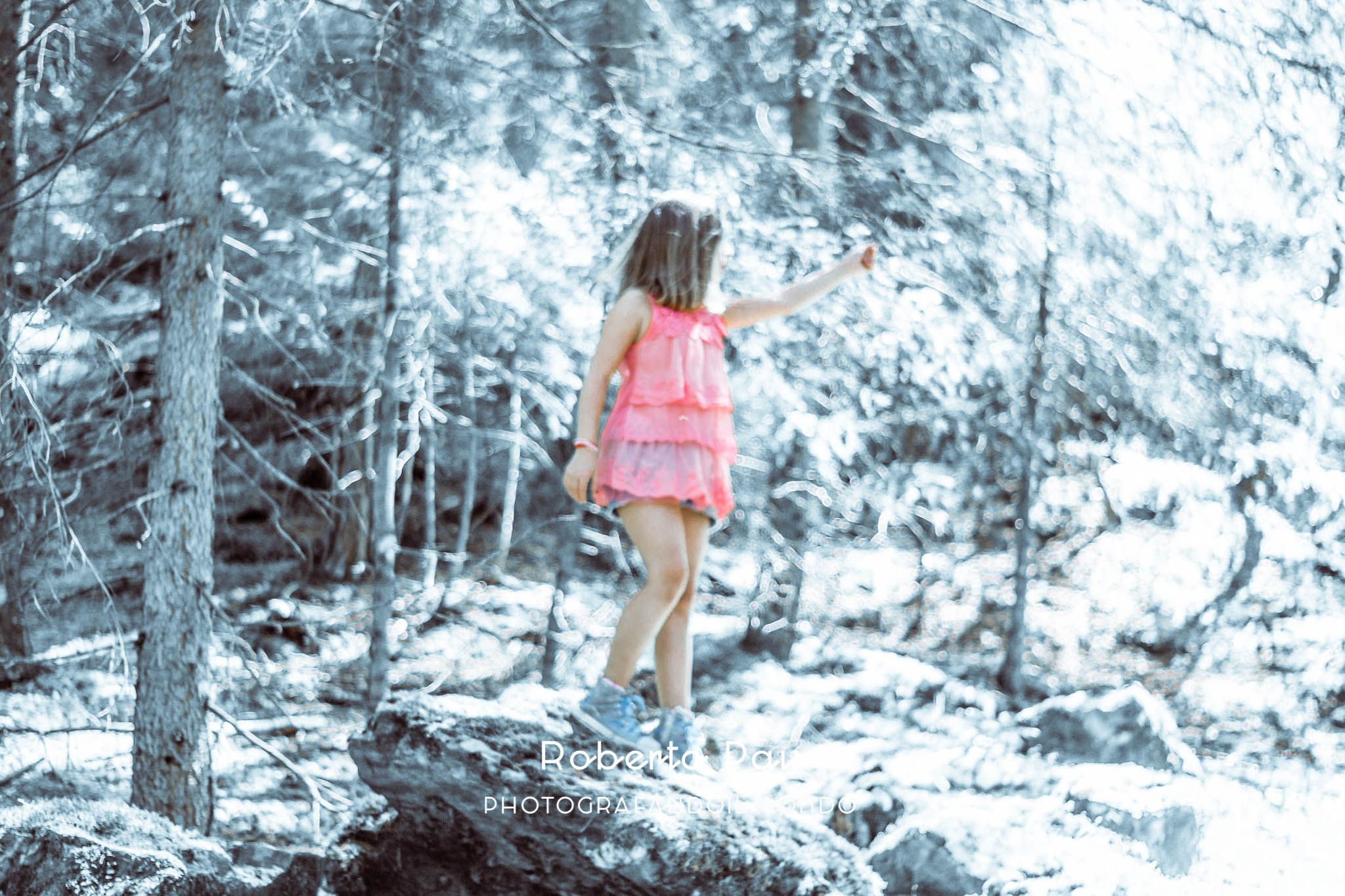 The princess of the forest