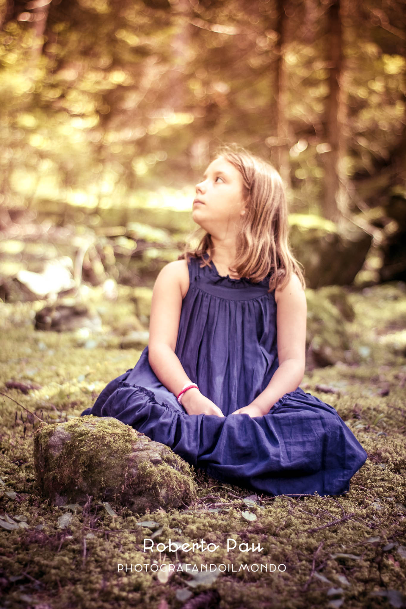 The princess of the forest