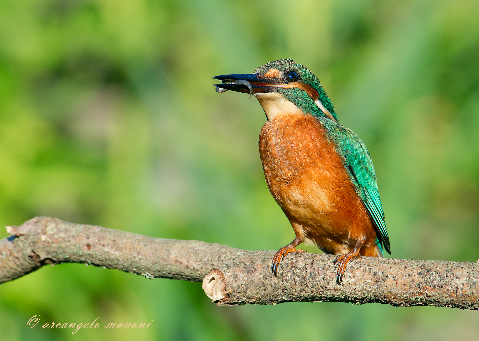 Fiero del suo primo pescato