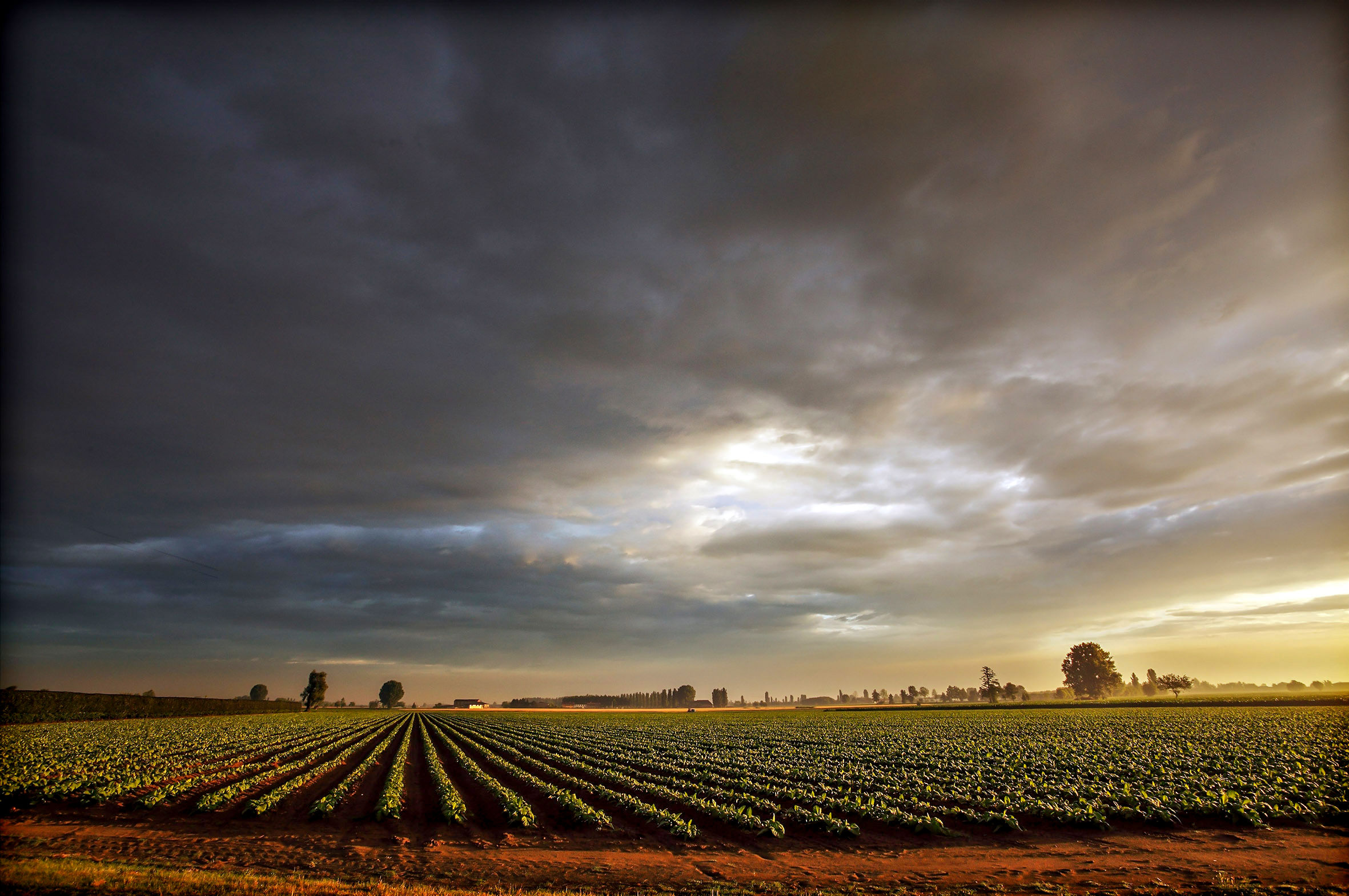 Prime luci del mattino