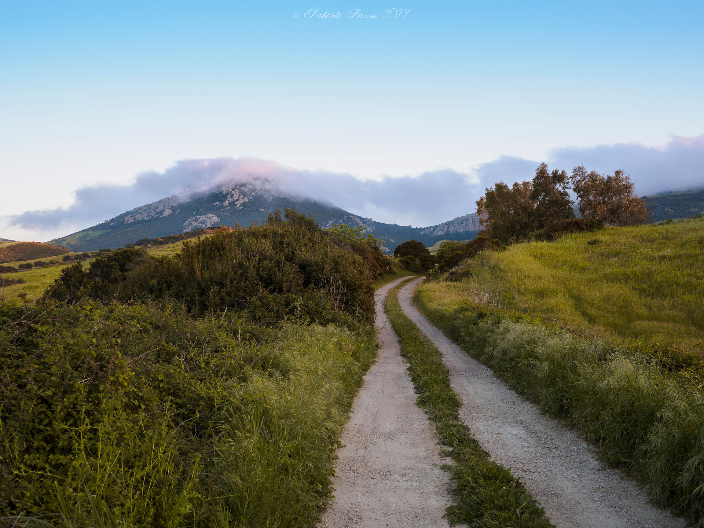 Monte Forte, la strada e il vento.