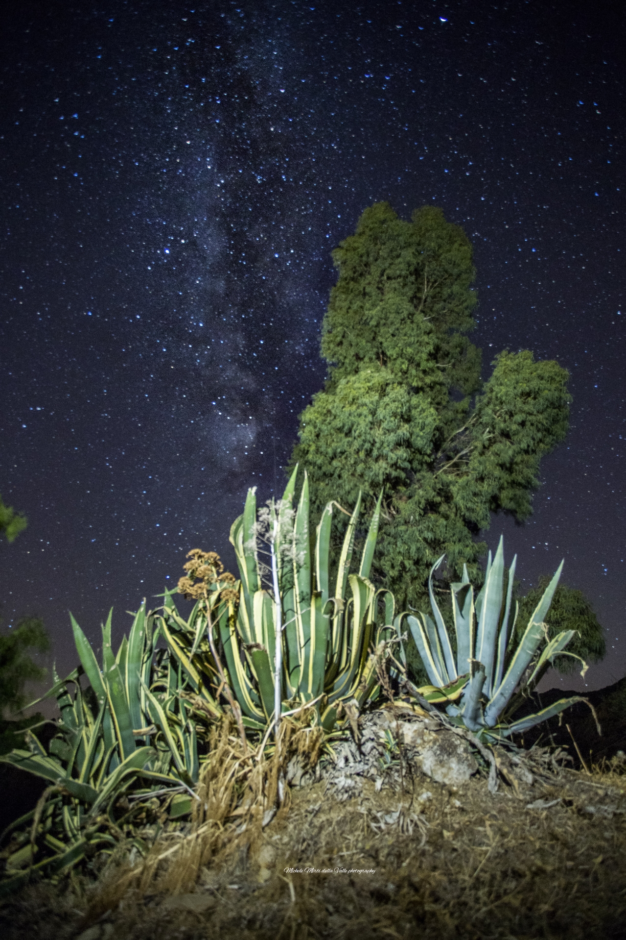 Natura "Lattea" Borgo degli Ulivi - Tusa