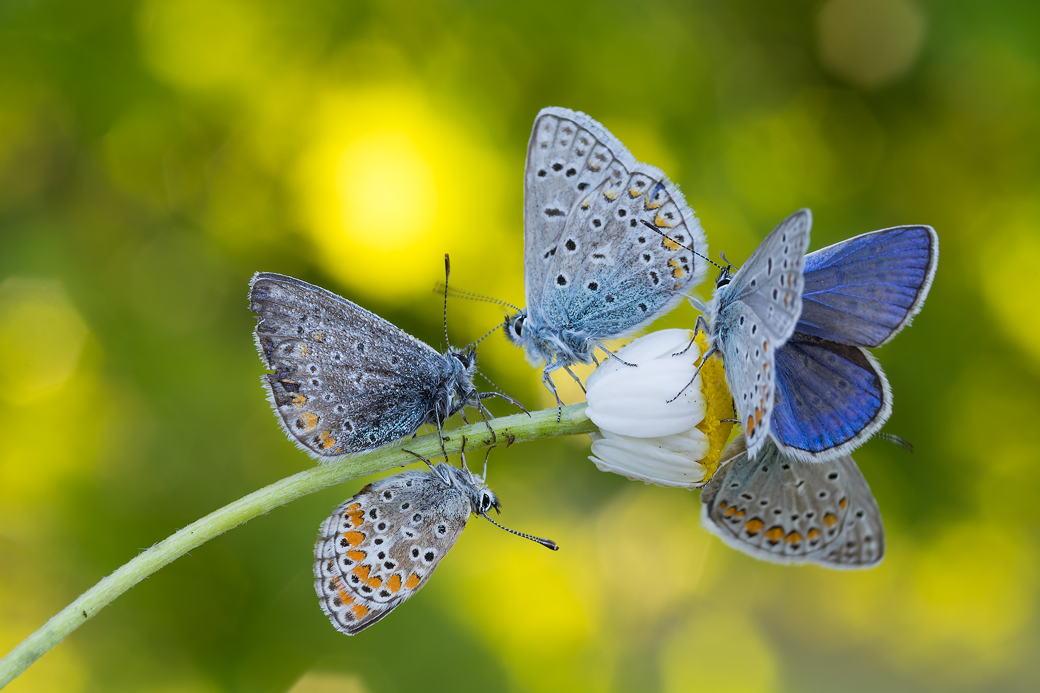 To run away but I like it