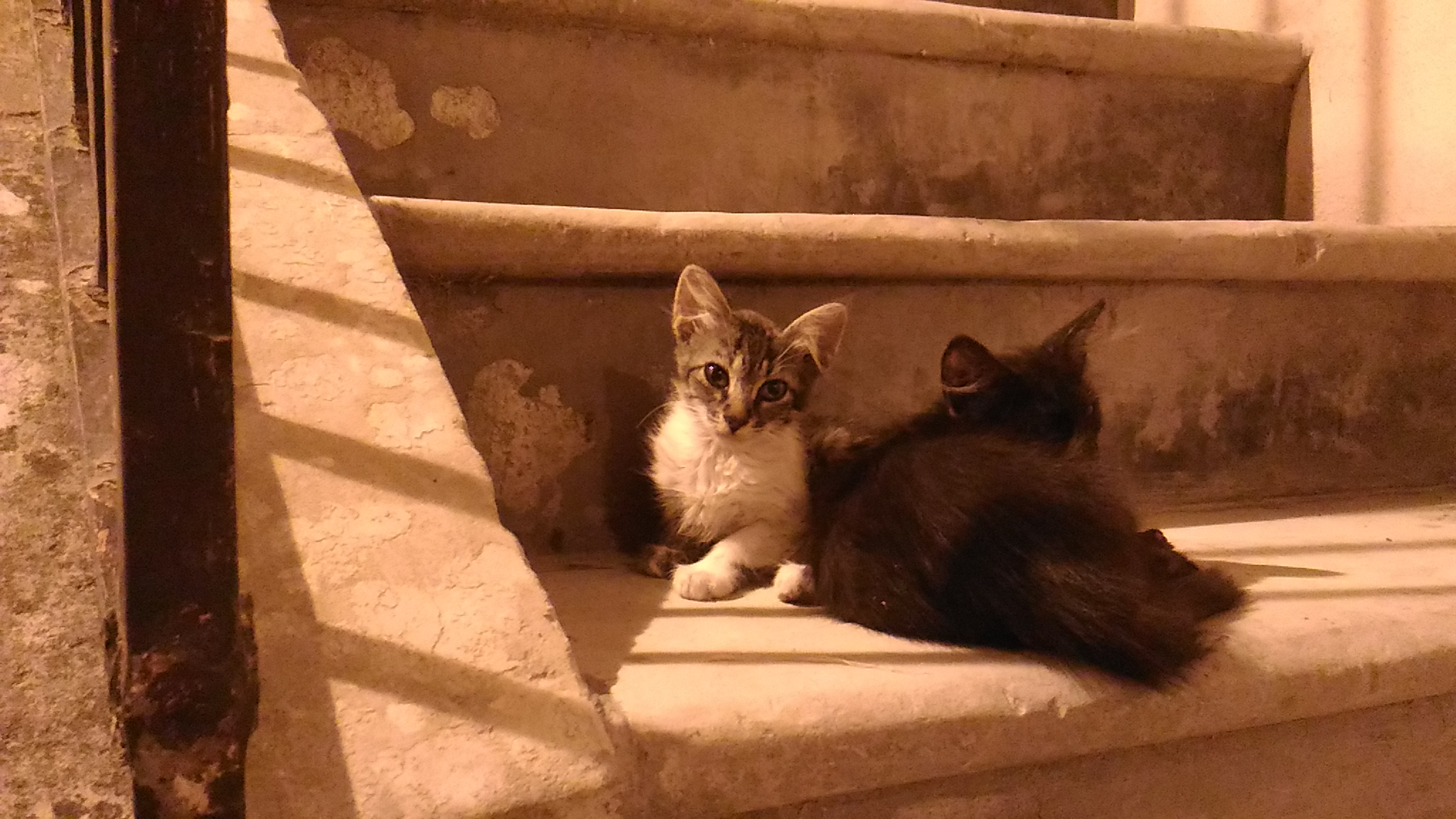 Is this the party here?