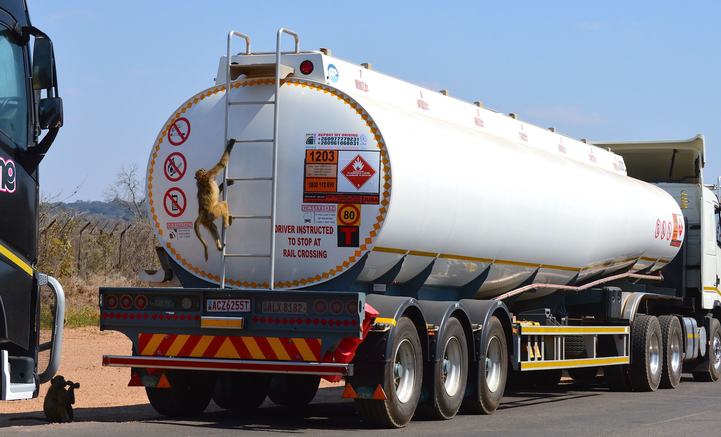 Ok socio ... the tank is in place!