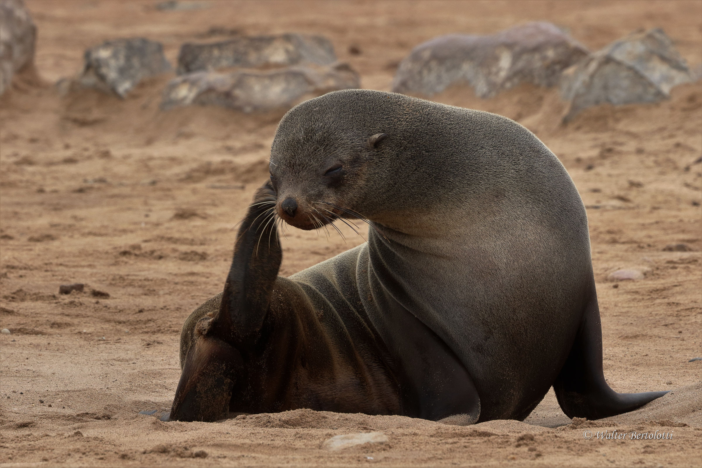 The sand in the eyes