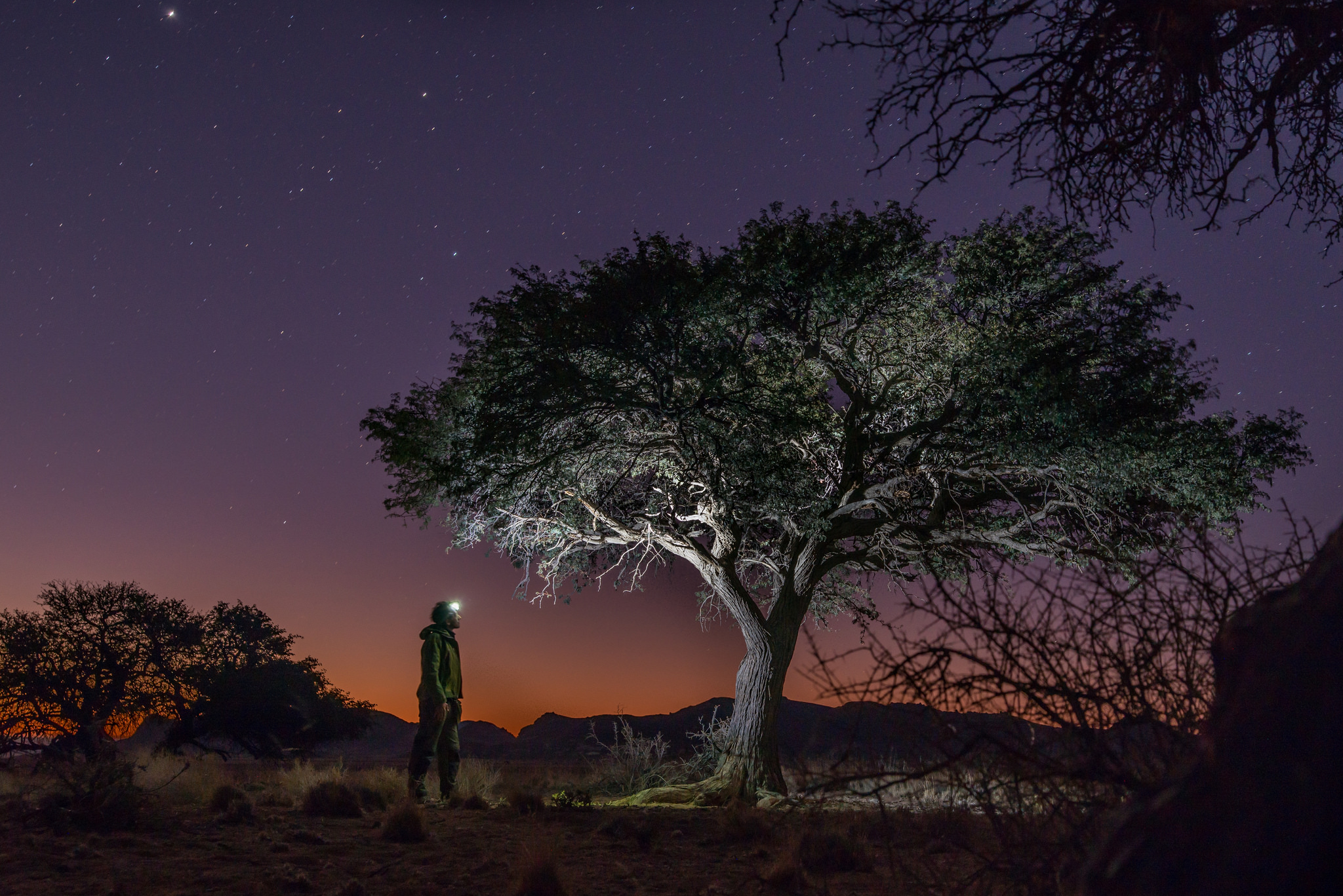 Esploratore notturno