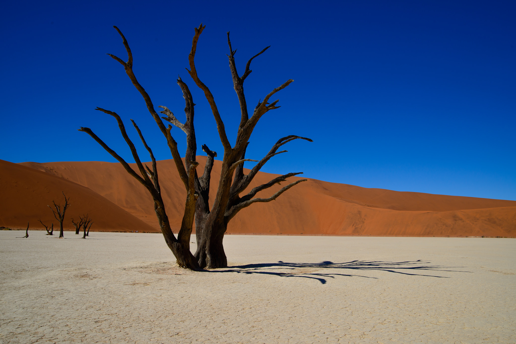 Deadvlei