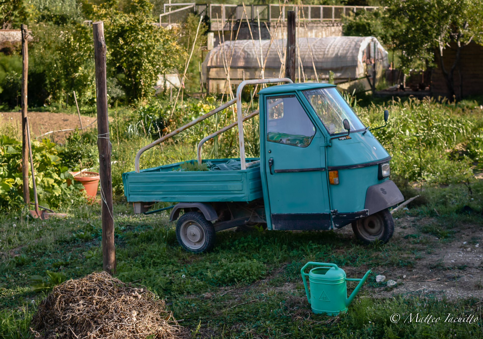 The vegetable garden once