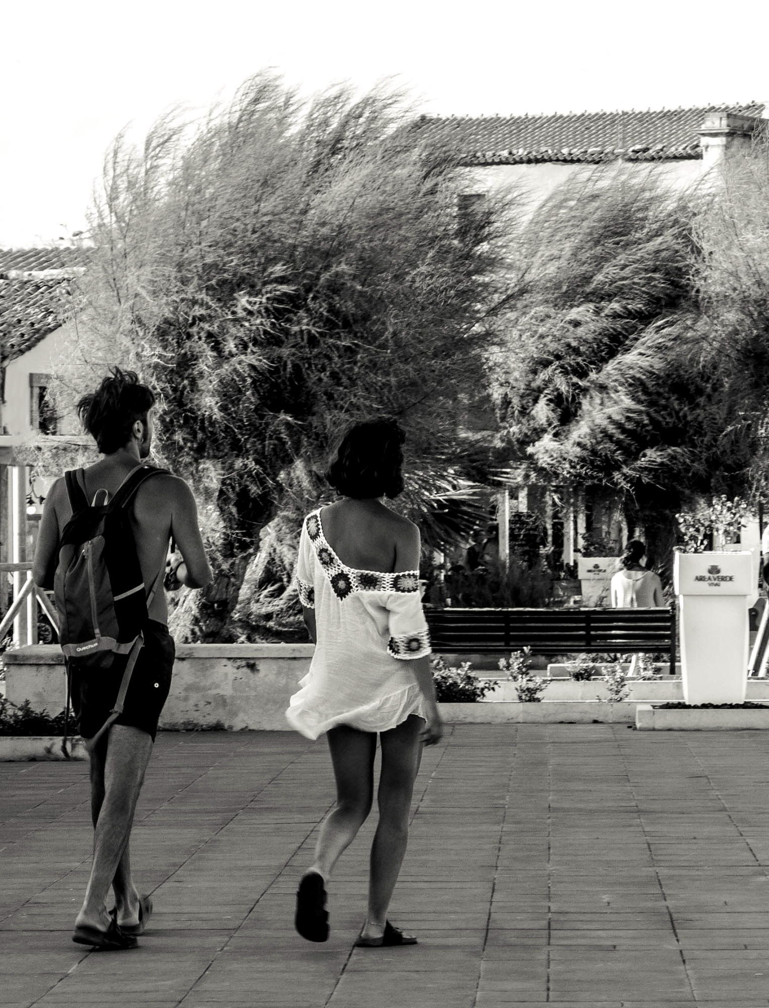 When the wind rises ....