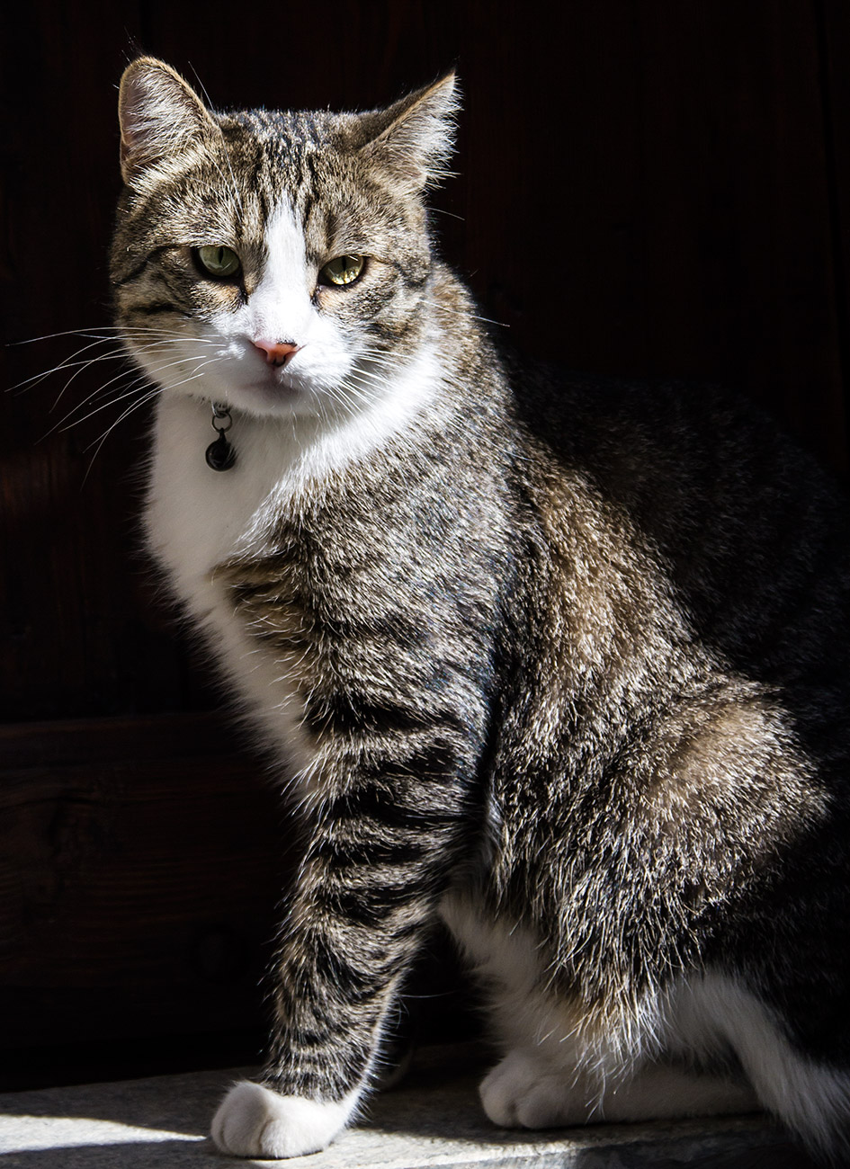 un'altro abitante di Usseaux.......