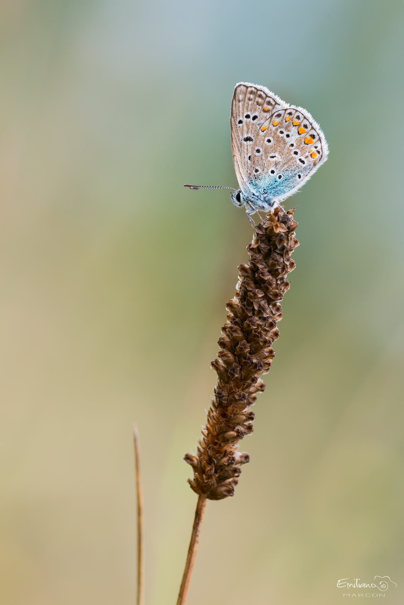 Prove di composizione