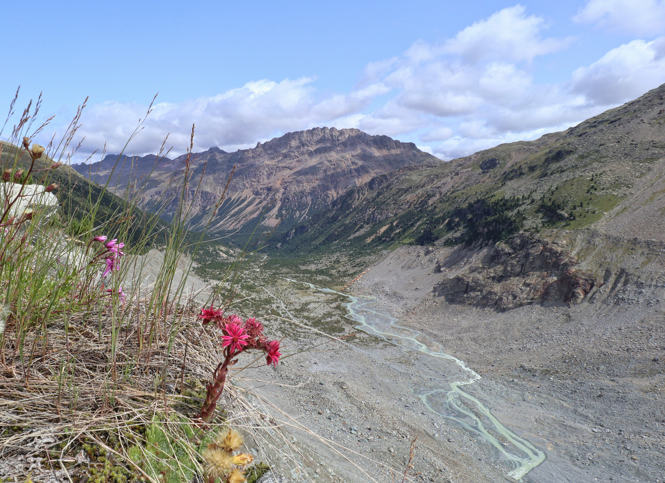 Zona di ritiro del ghiacciaio del Morteratsch