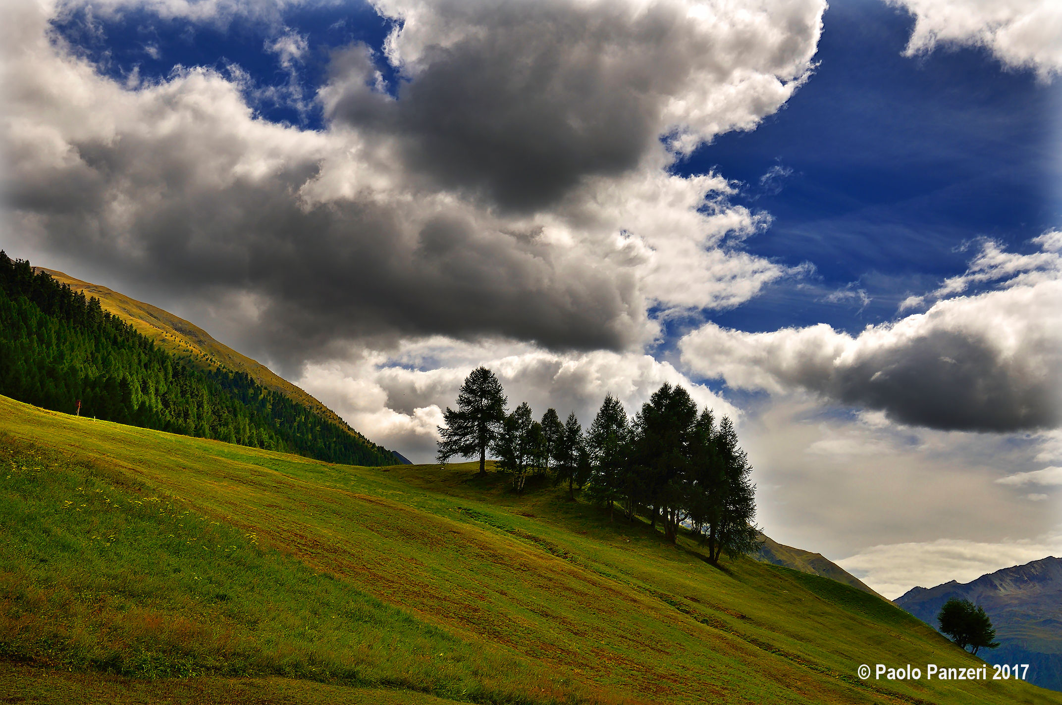 Nel mezzo di un Sogno